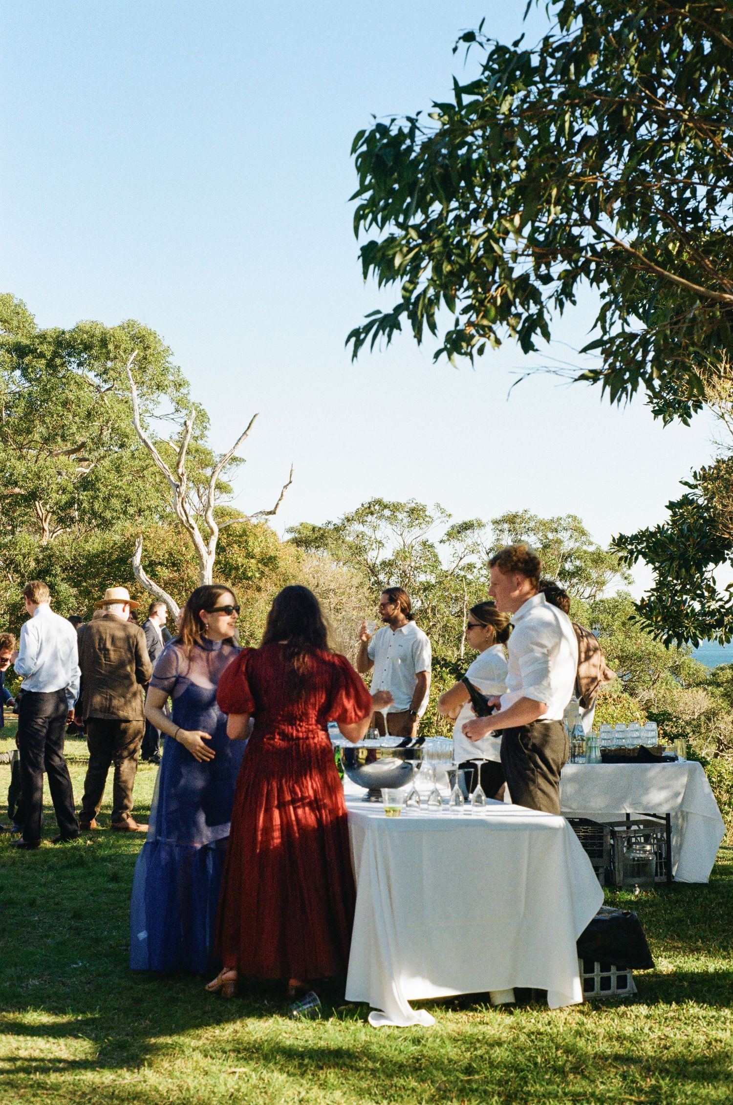 Outdoor wedding reception with guests gathered around a white-clothed catering table on green lawn surrounded by trees.