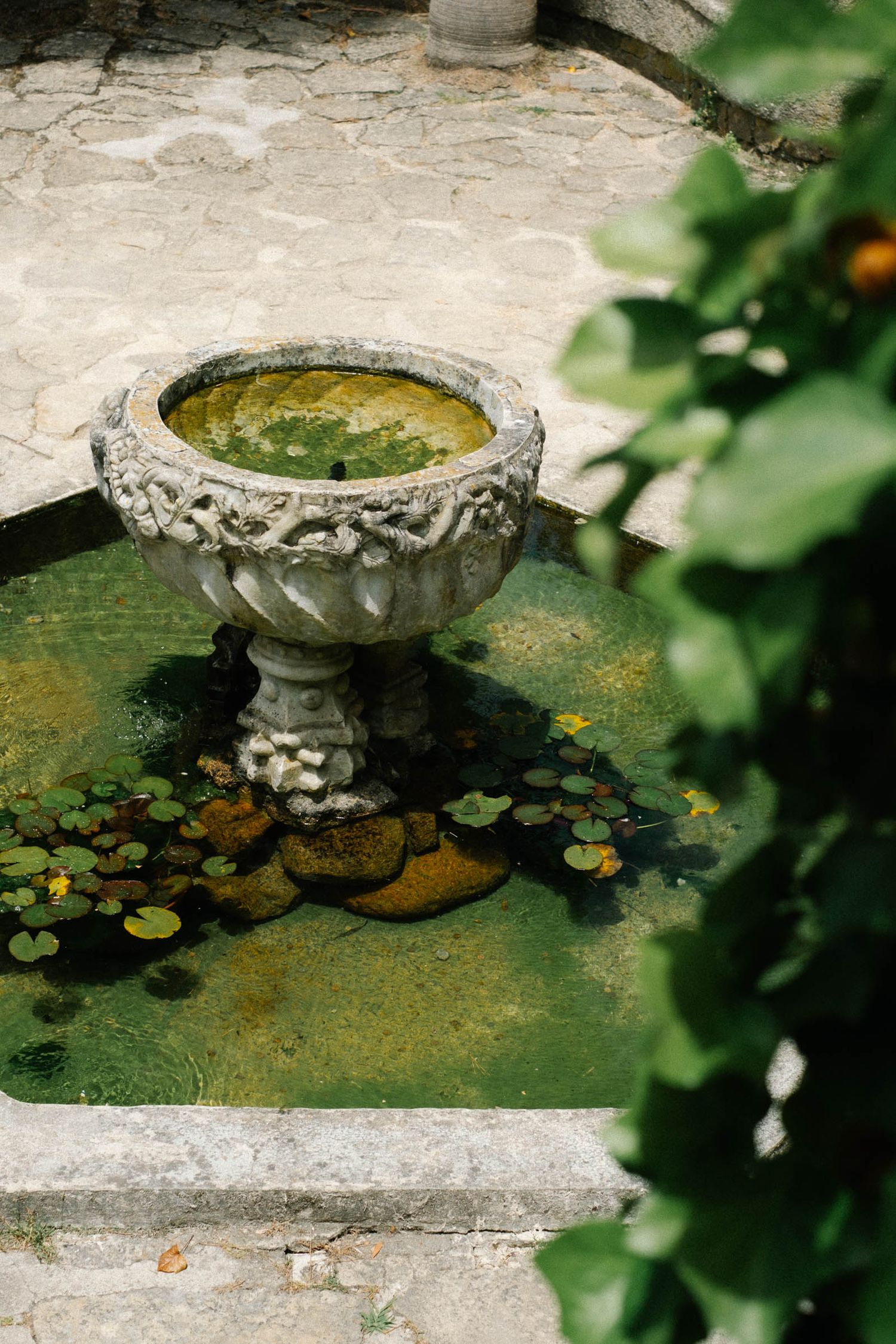 Ornate stone fountain with lily pads in a serene garden setting.