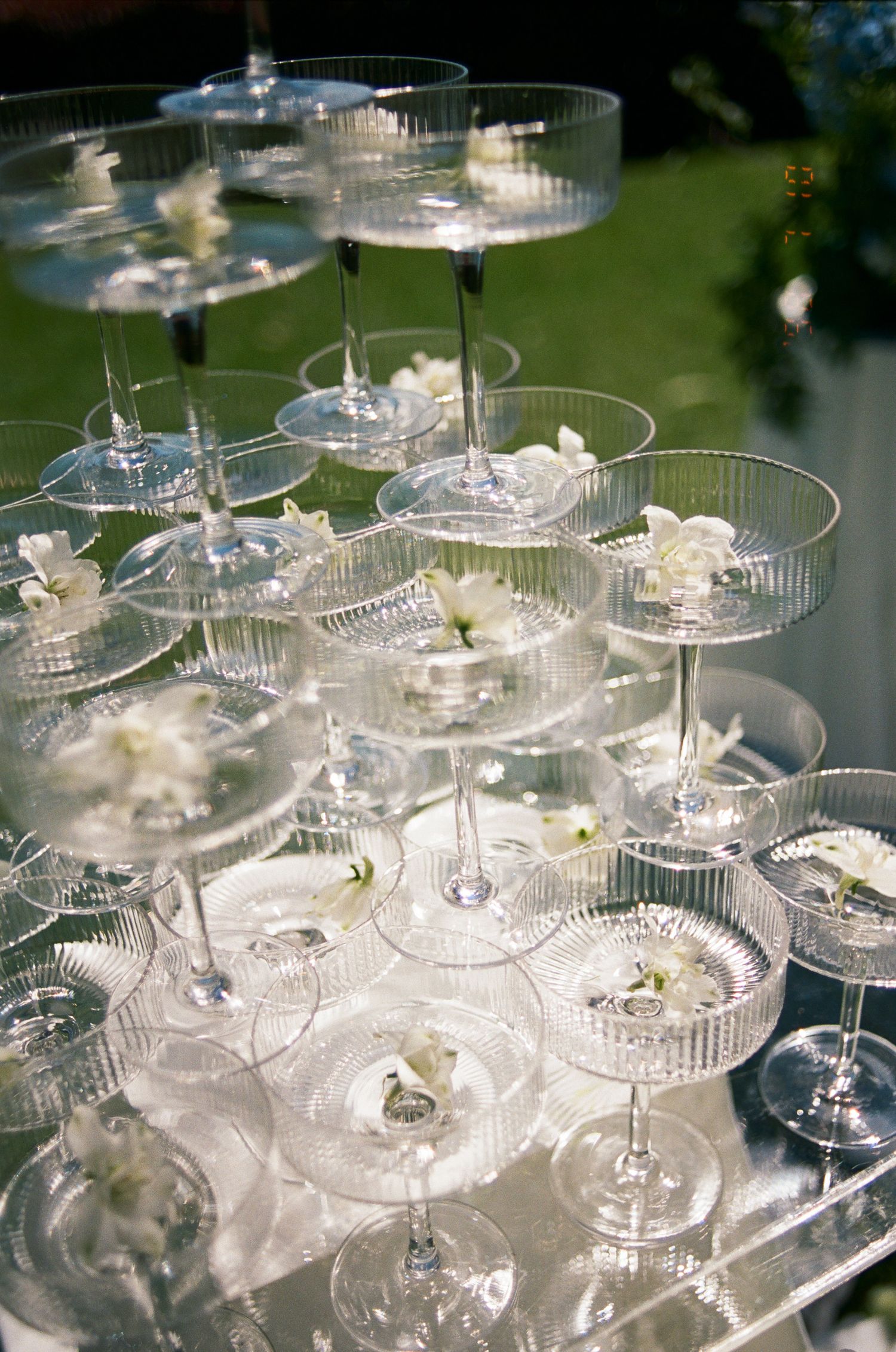Tiered champagne tower of ribbed coupe glasses, each topped with a delicate white orchid, set on a mirrored table at an outdoor event.