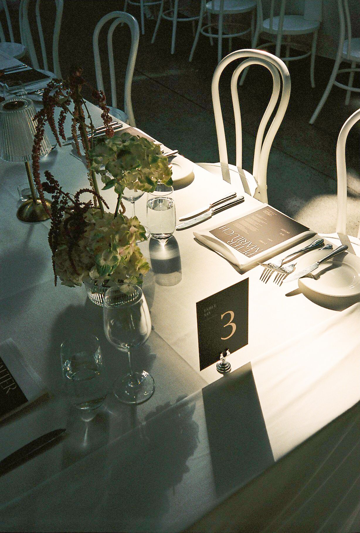 A series of moody photographs showing glass vases with plants on a white surface casting dramatic shadows.
