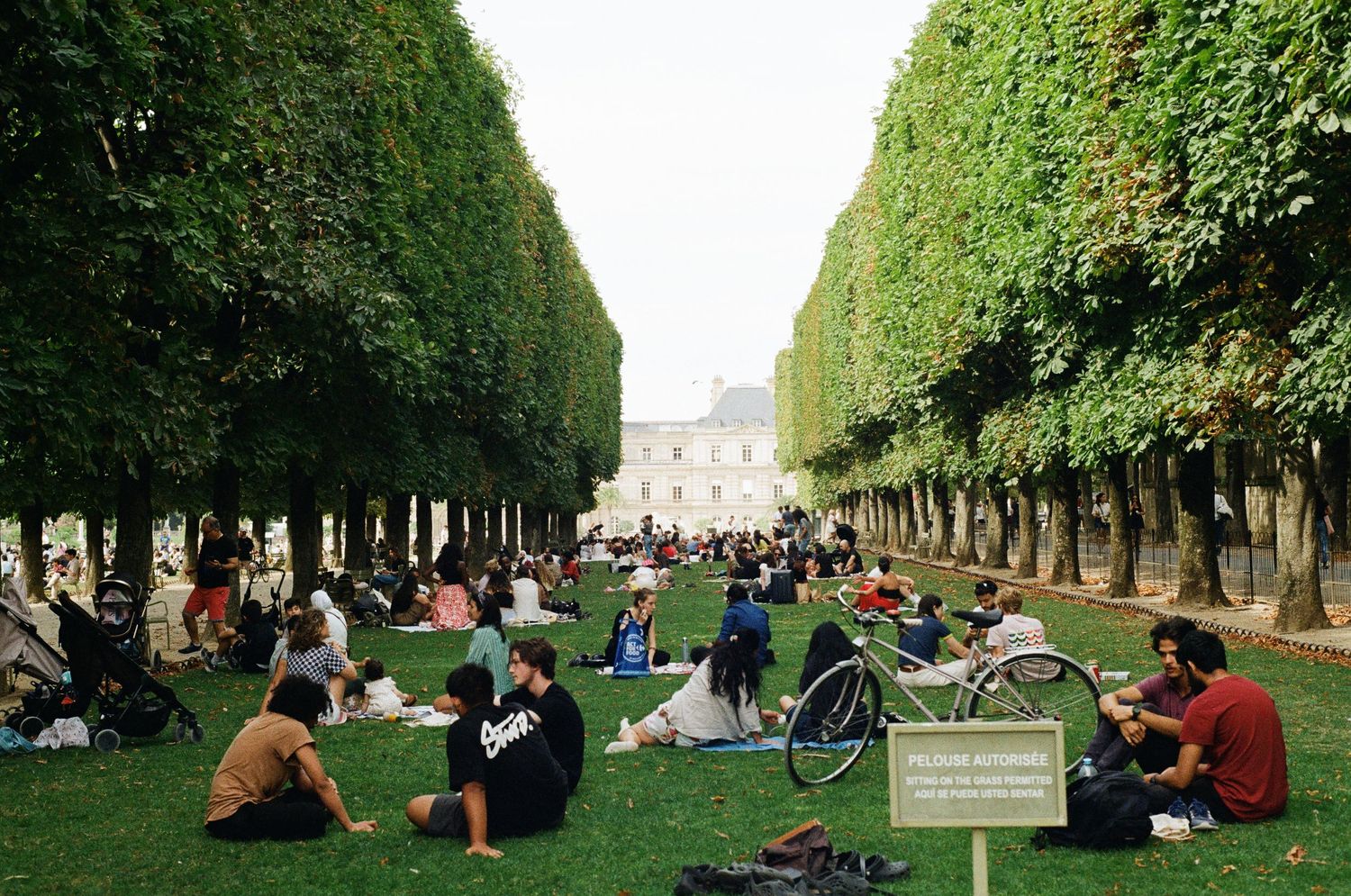 People relax on the grass beneath tree-lined paths in a sunny Paris park, with a grand palace building in the distance.