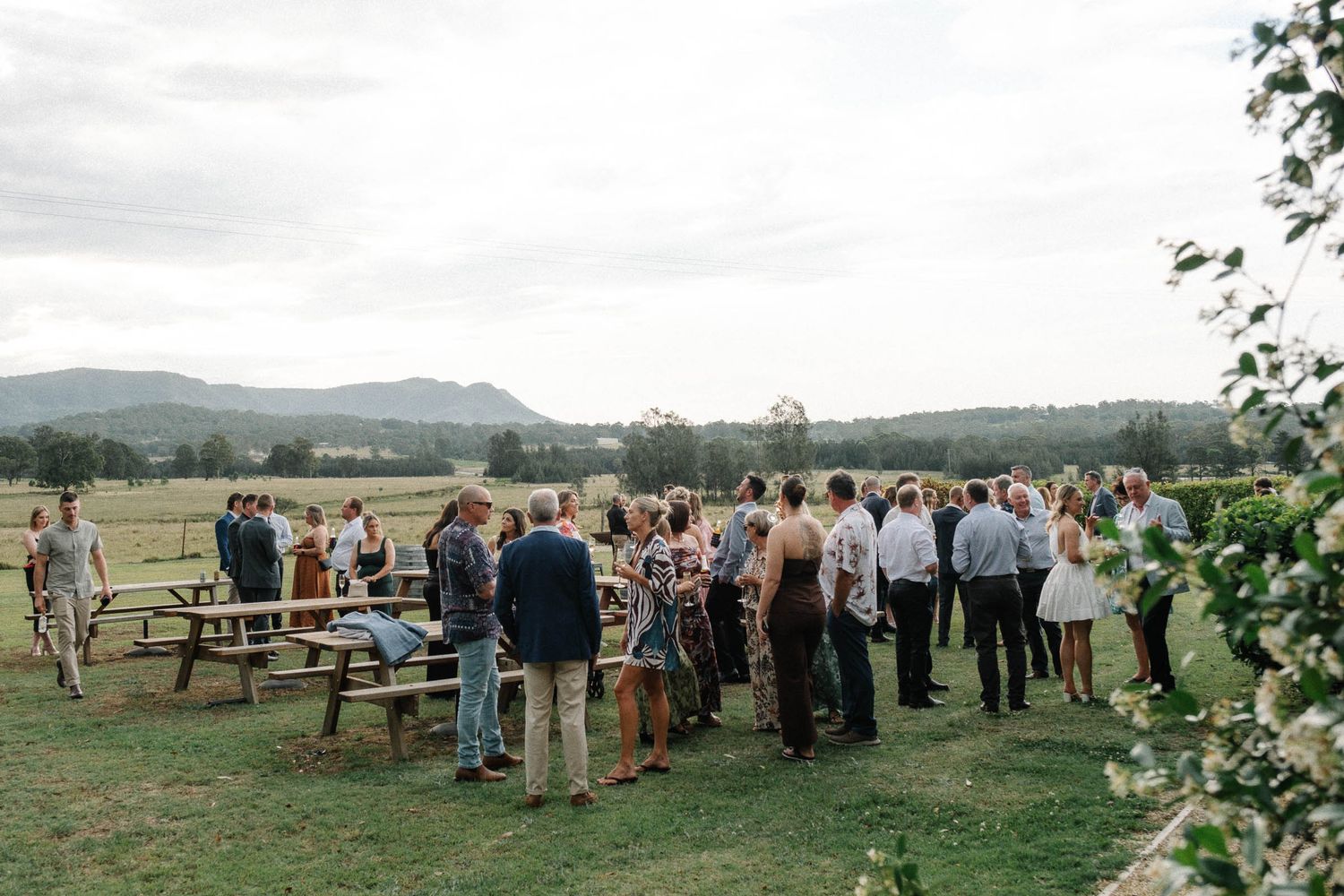 Wedding guests gather at rustic outdoor reception venue with picnic tables and mountain views in background.