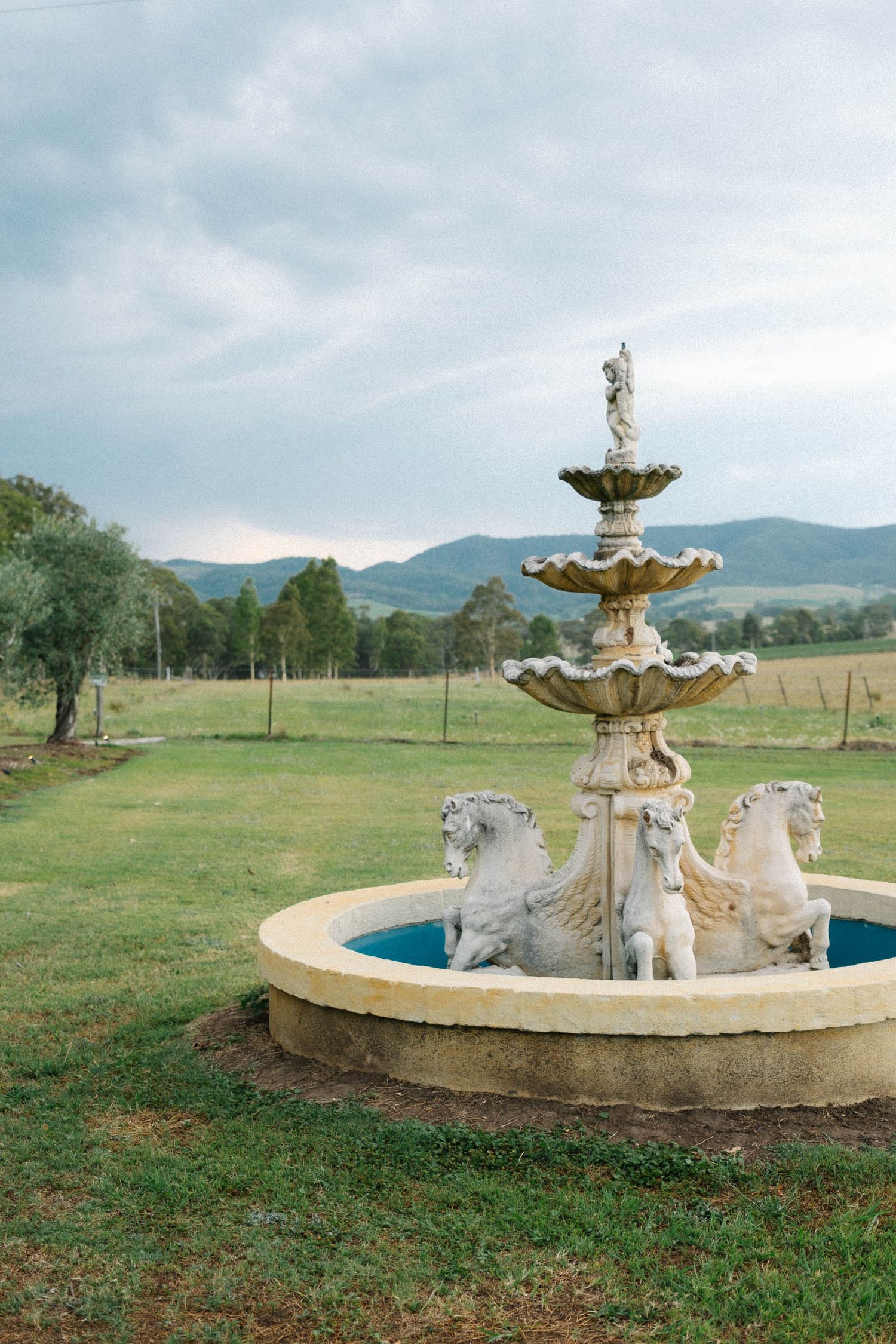 An ornate stone fountain with cherub statues sits in a grassy field with mountains visible in the distance.