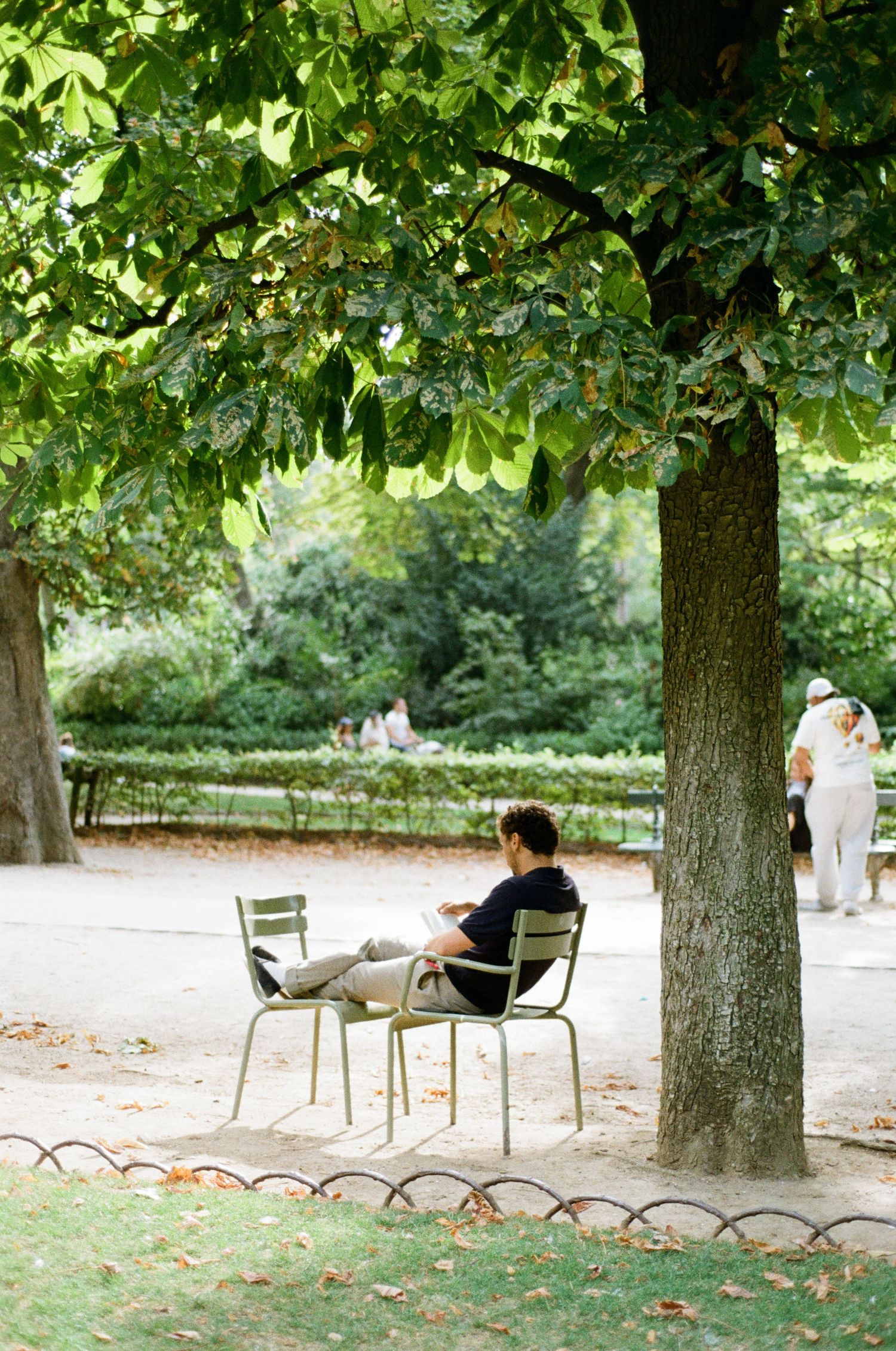 A man sits reading in a green metal chair beneath a large shady tree in a sunny park, with other visitors strolling nearby.