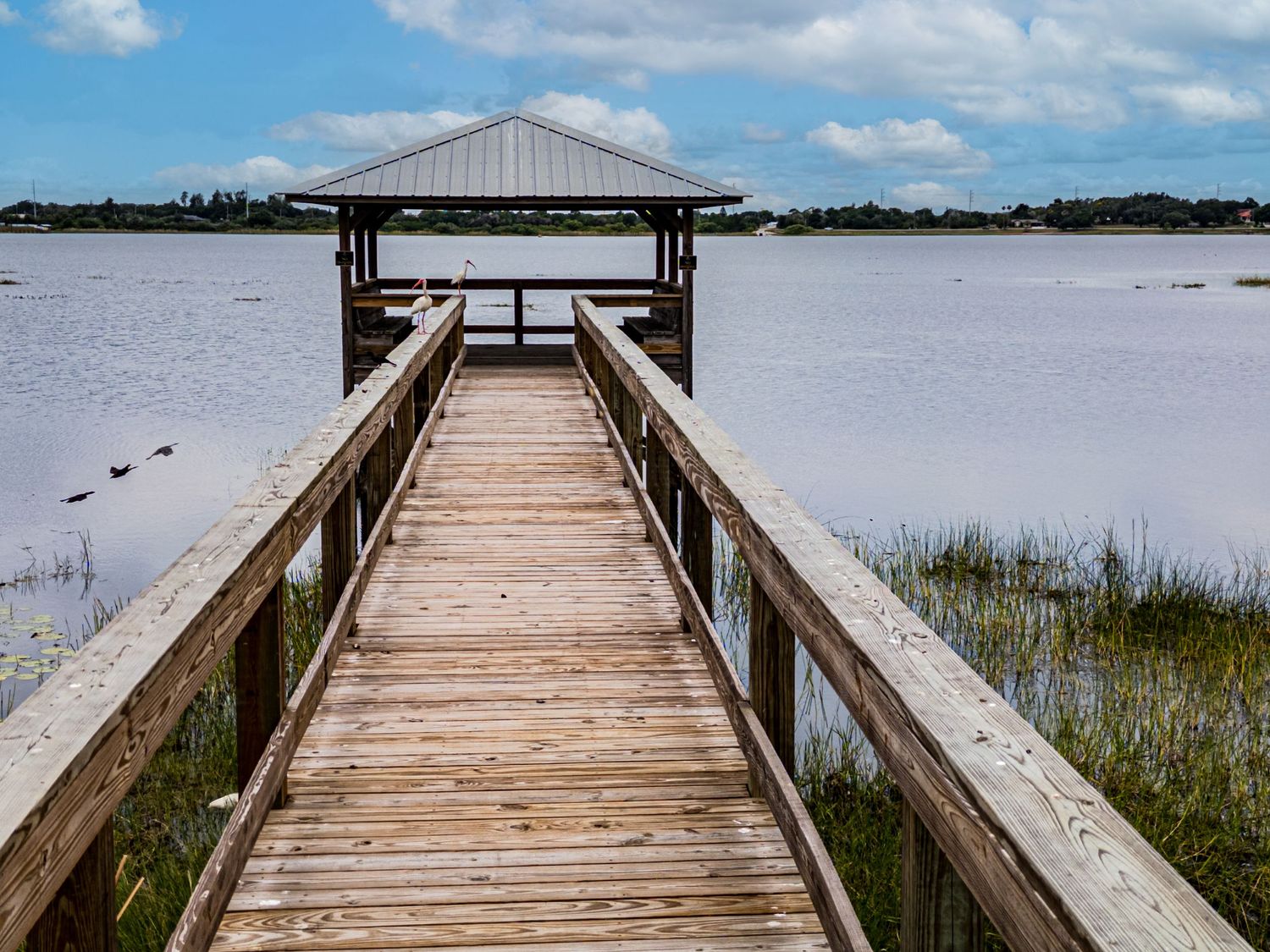 Lake Damon in Avon Park, Florida