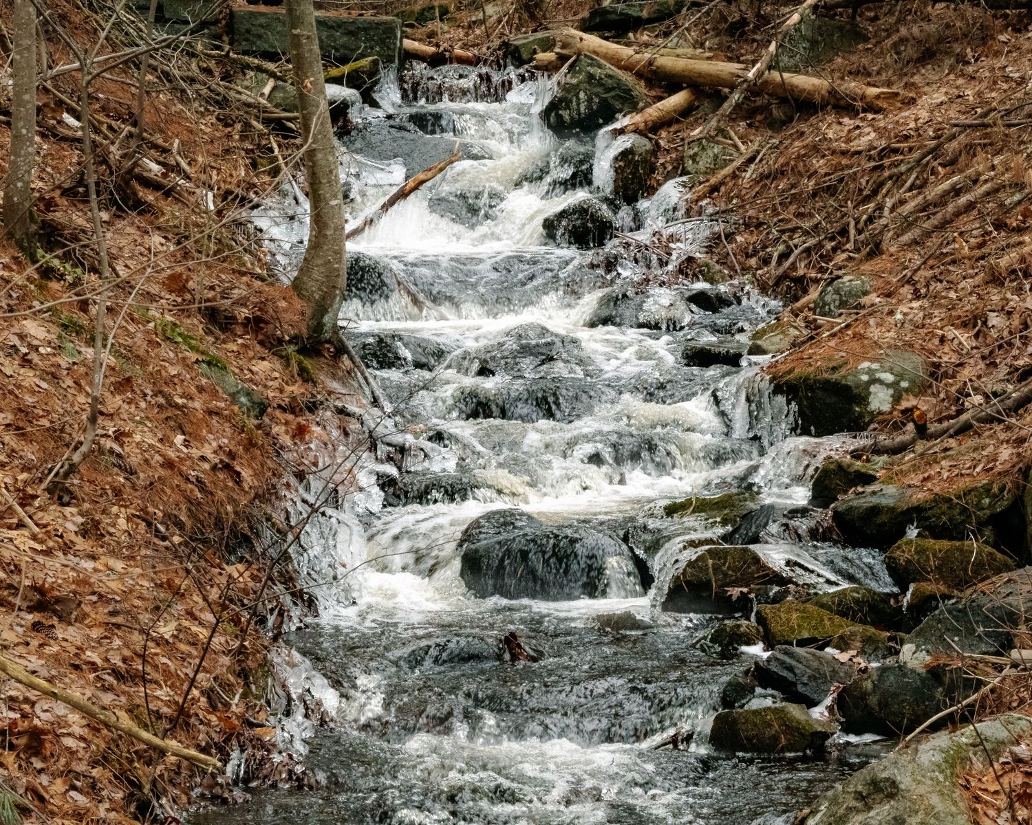 Rocky cascading waterfall flowing over mossy stones through a wooded forest with fallen trees and autumn leaves.