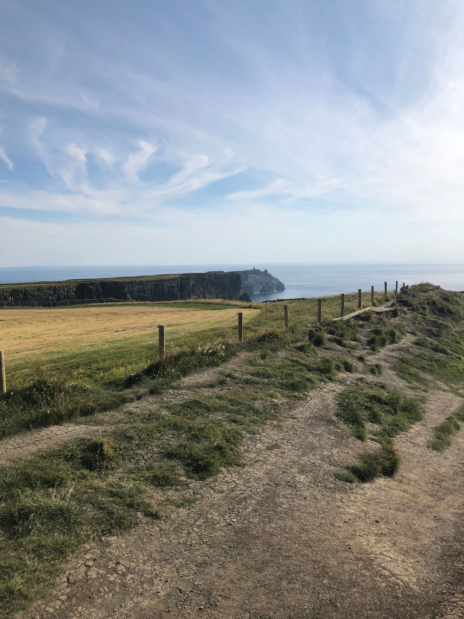 Coastal cliff path with wooden fence posts, green grass, and dramatic sea cliffs under a blue sky.