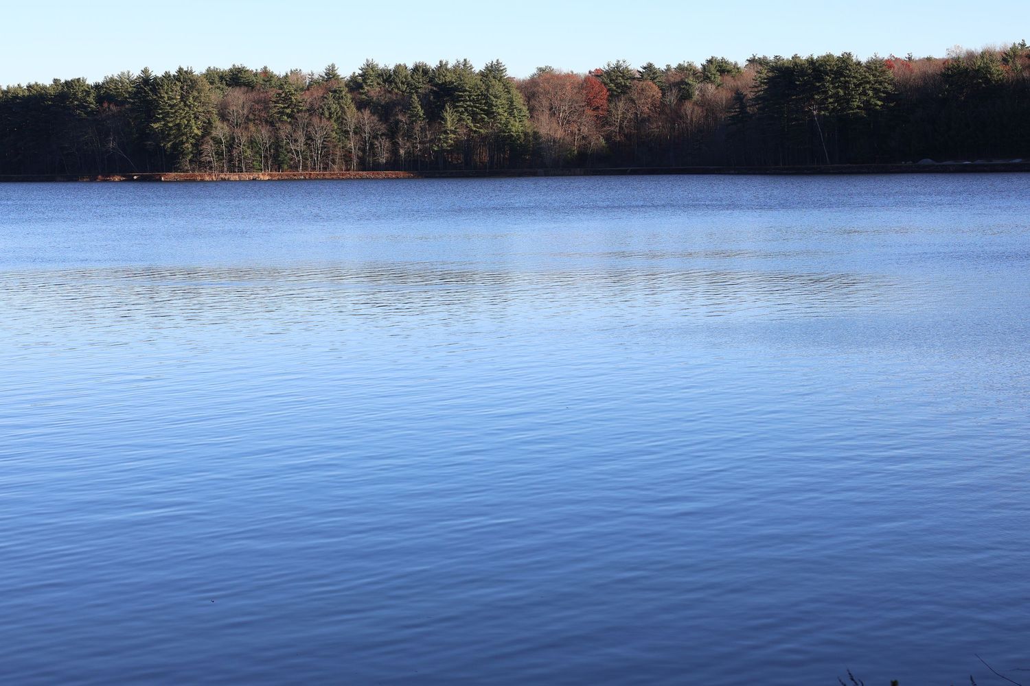 Calm blue lake reflecting autumn trees with vibrant red and green foliage on a clear sunny day.