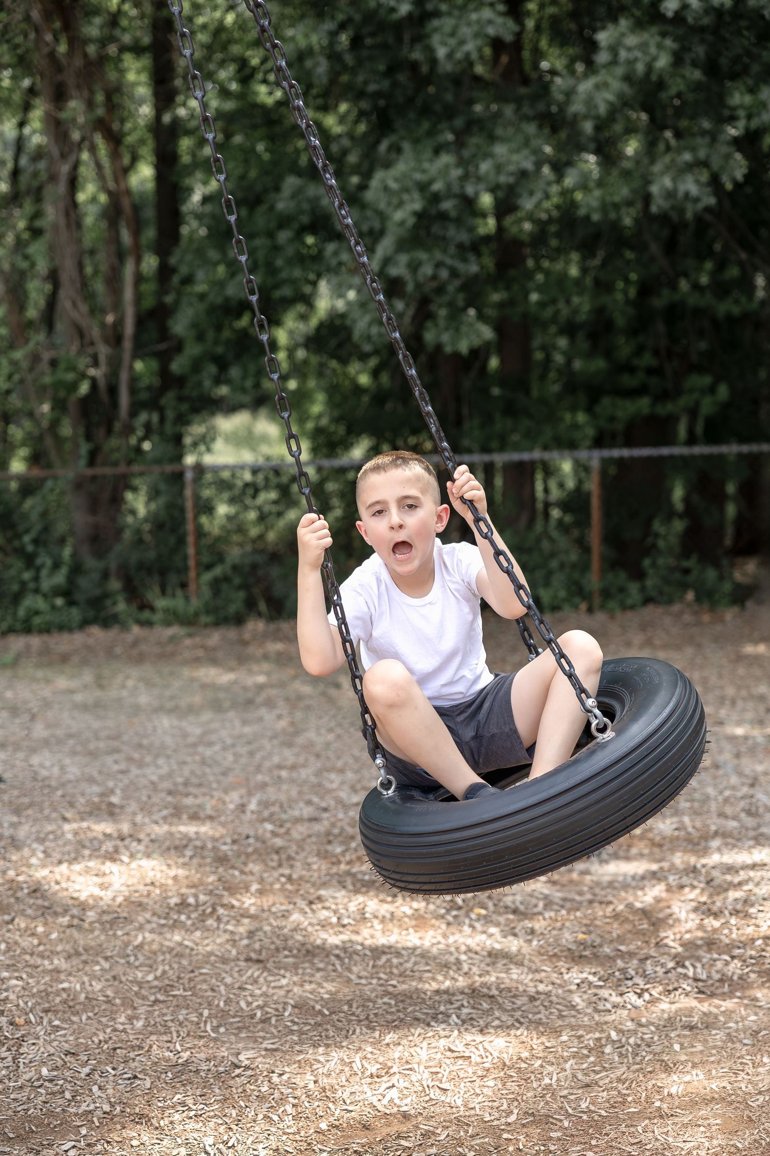 A young boy sits on a tire swing, gripping the chains with an excited expression, surrounded by trees.