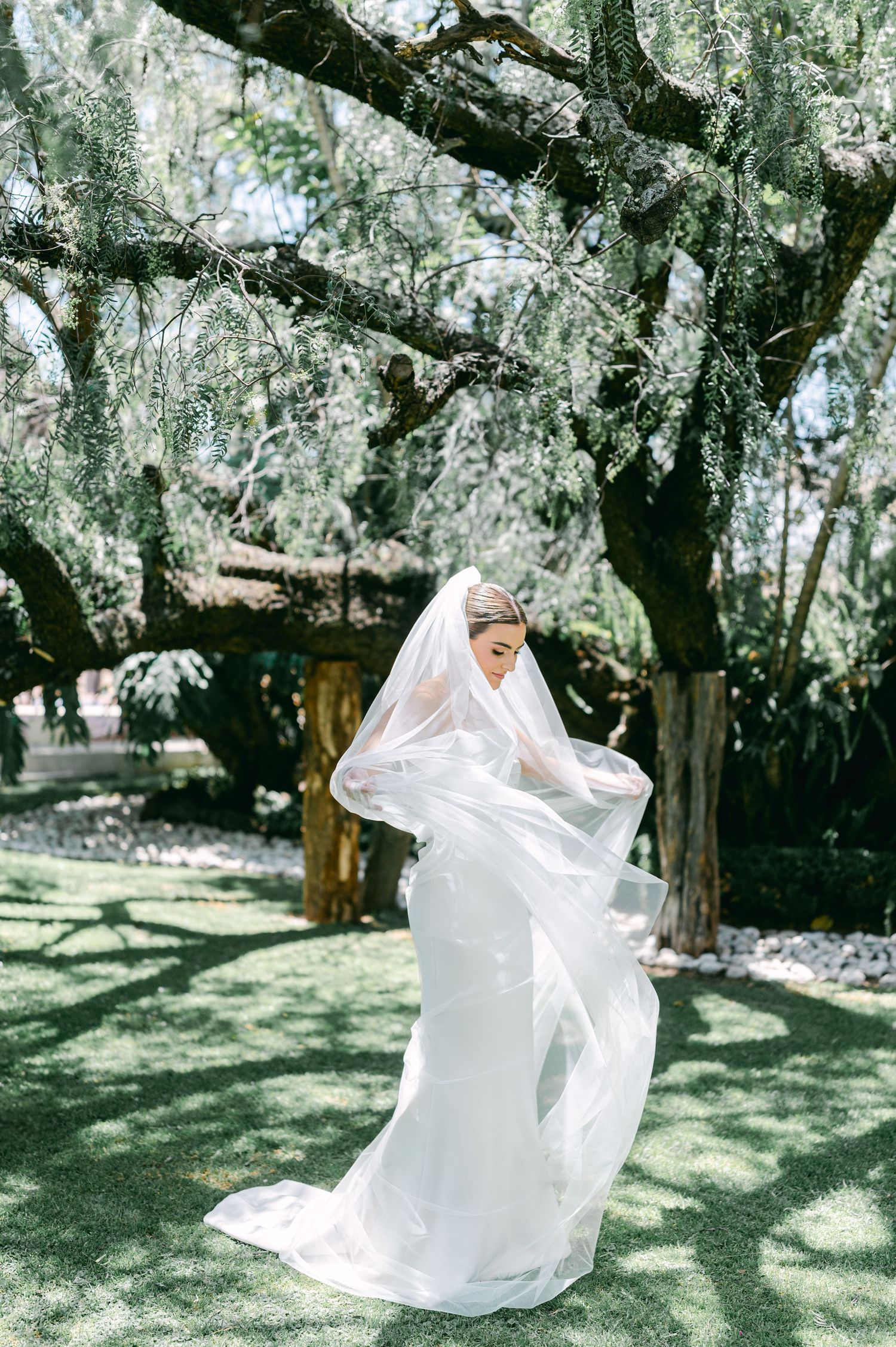 Bride in white gown with flowing veil billowing in breeze standing under weeping trees in garden setting.