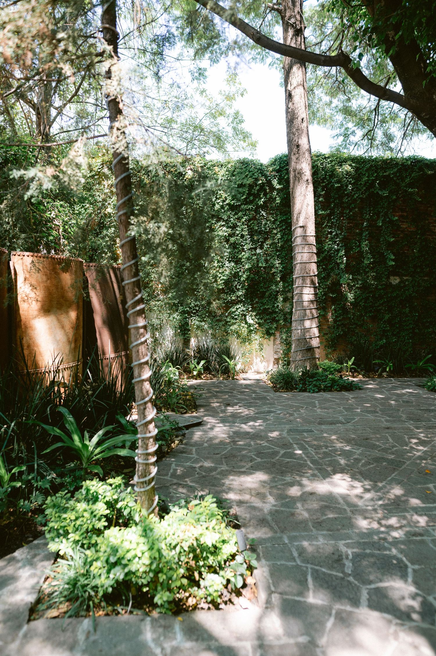 Lush garden pathway with tall trees, ivy-covered walls, and stone tile flooring in a serene outdoor space.