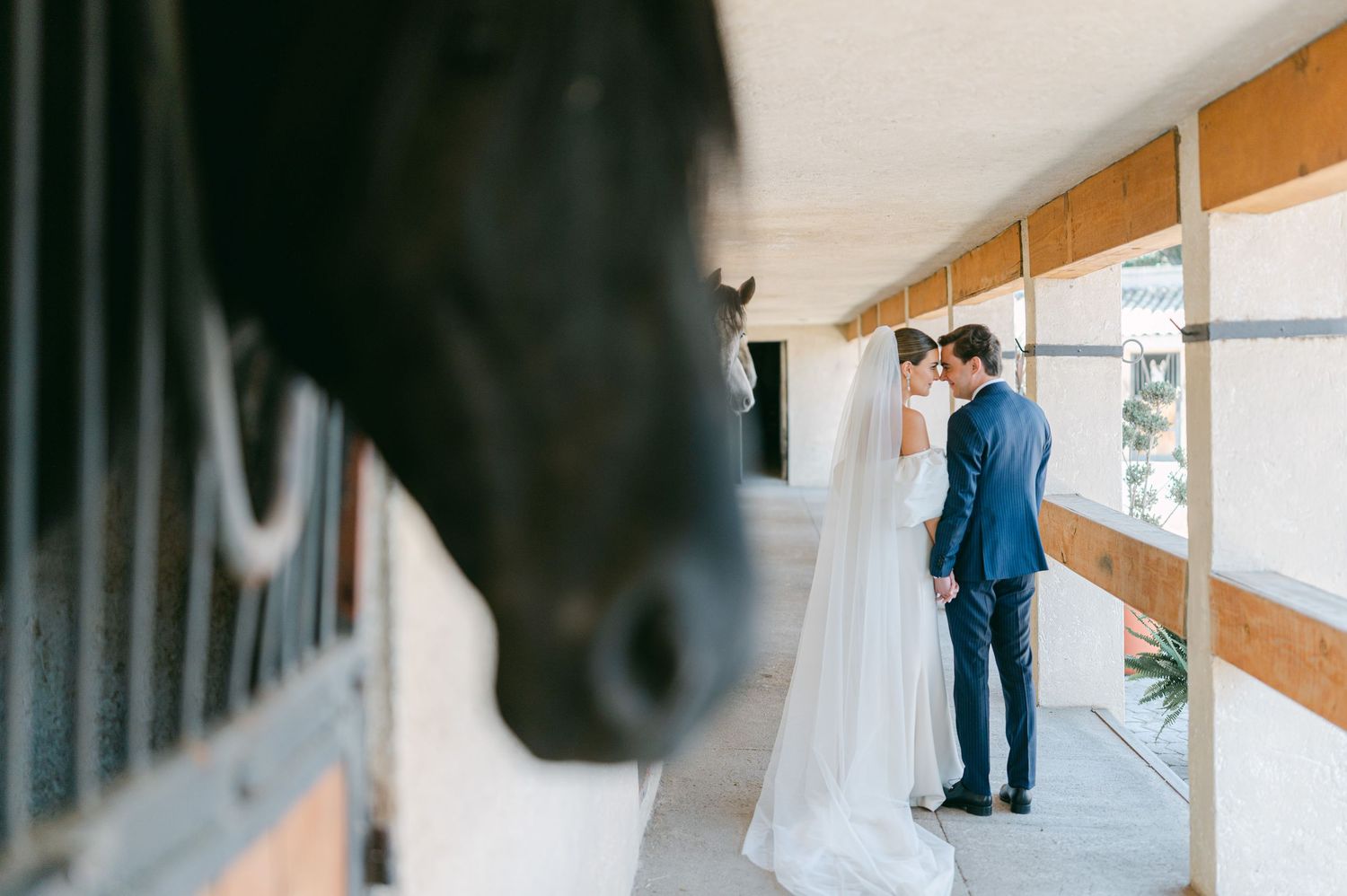 Bride and groom share intimate moment beside horse stables with black horse in foreground.