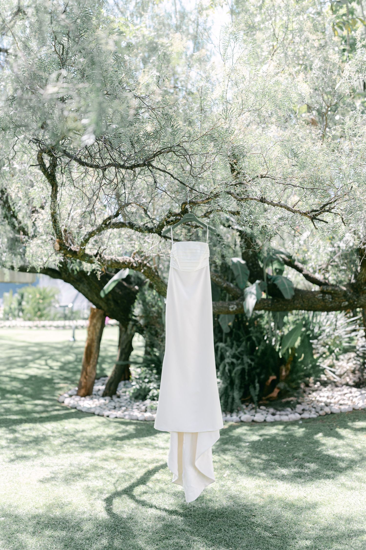Elegant white strapless wedding gown hanging from an olive tree branch in a lush garden setting.