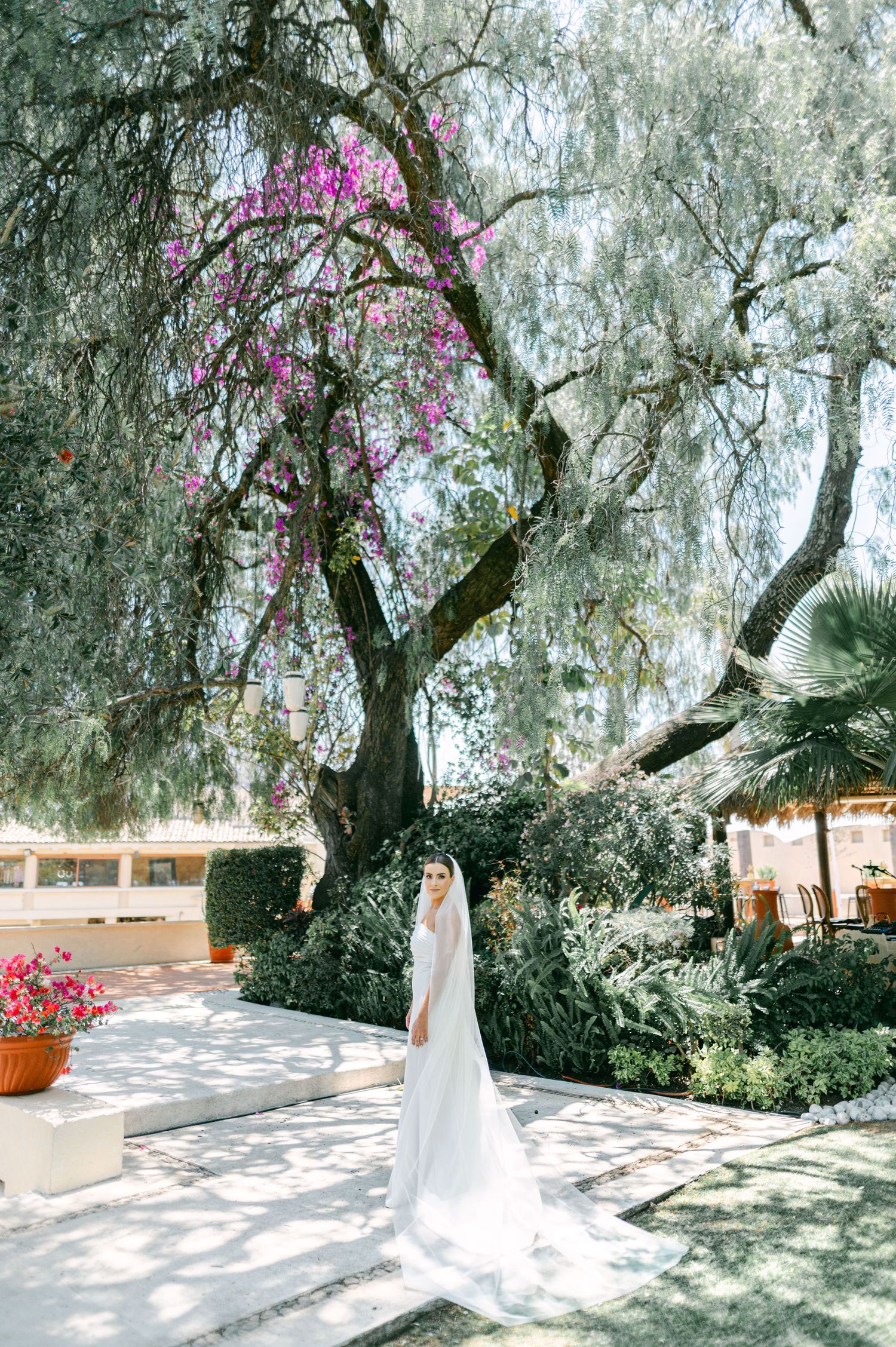 Bride in white gown and veil stands beneath blooming bougainvillea tree in lush garden setting.