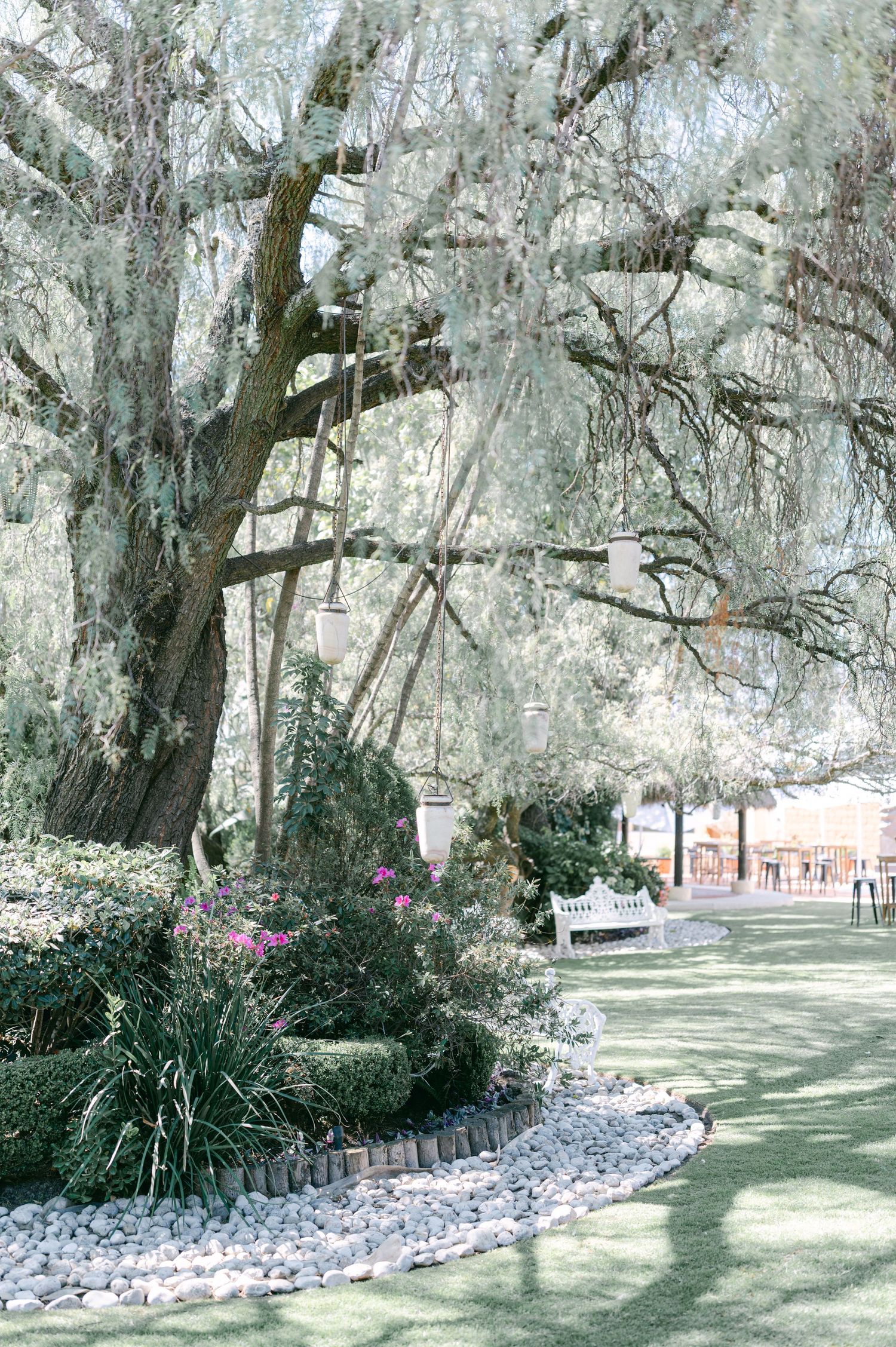 Elegant outdoor wedding venue with large moss-draped tree, white bench, and manicured garden landscape.