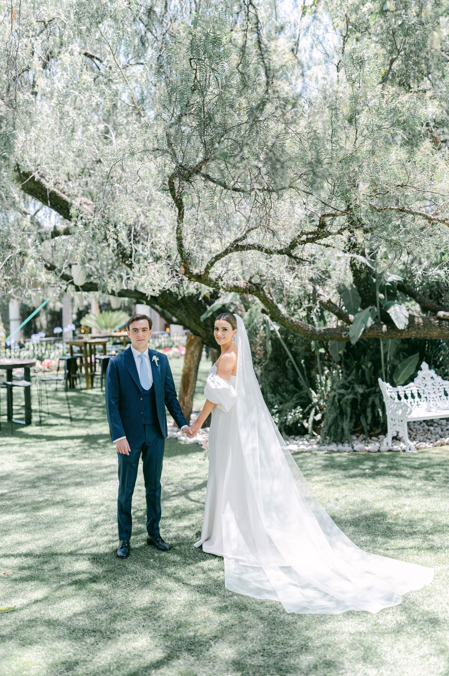 Bride and groom holding hands under large olive tree in stunning outdoor wedding portrait.
