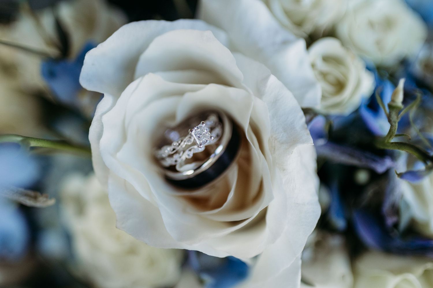 Wedding rings nestled in a white rose bouquet with blue flowers, showcasing an elegant diamond engagement ring.