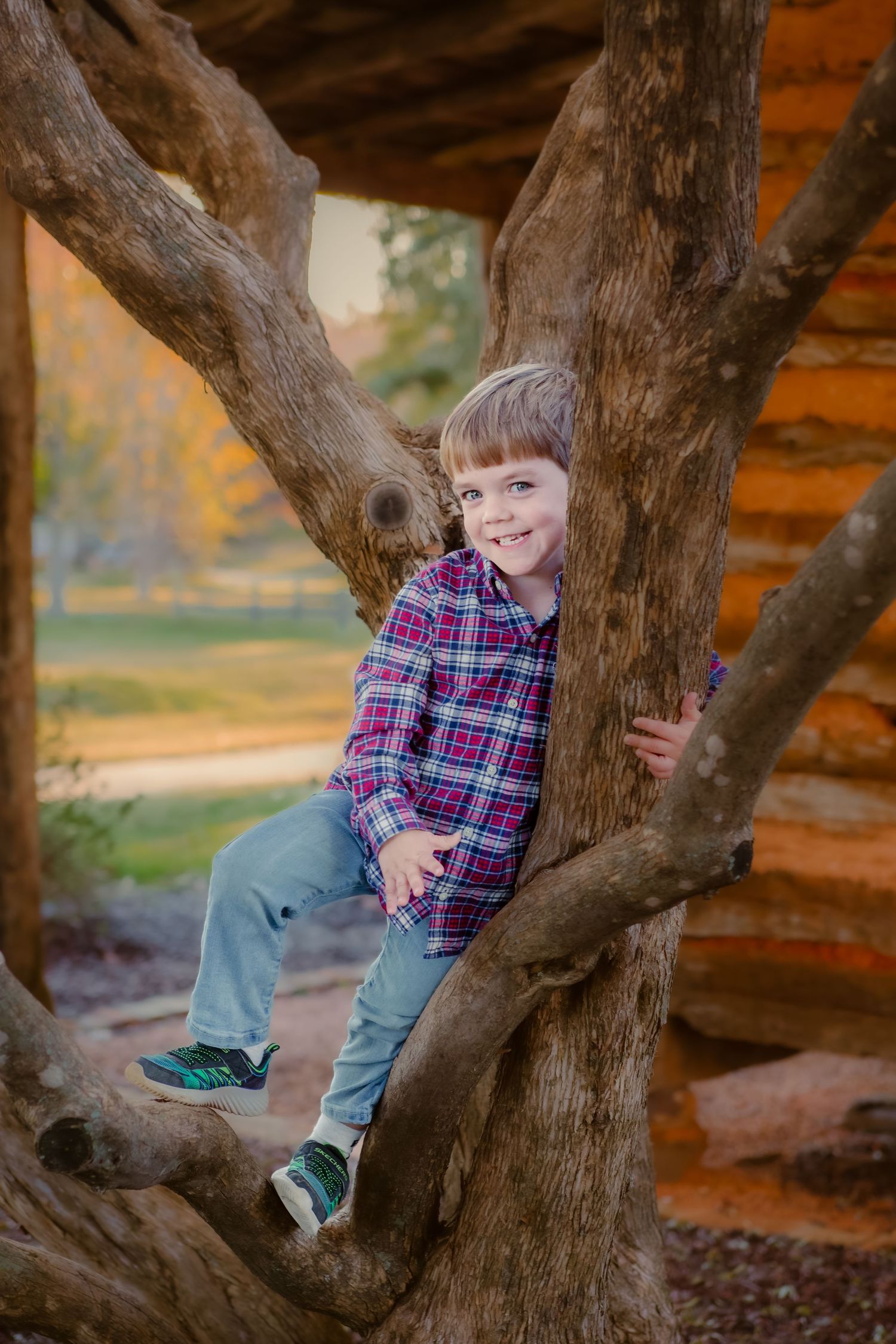 Colleyville family Photographer