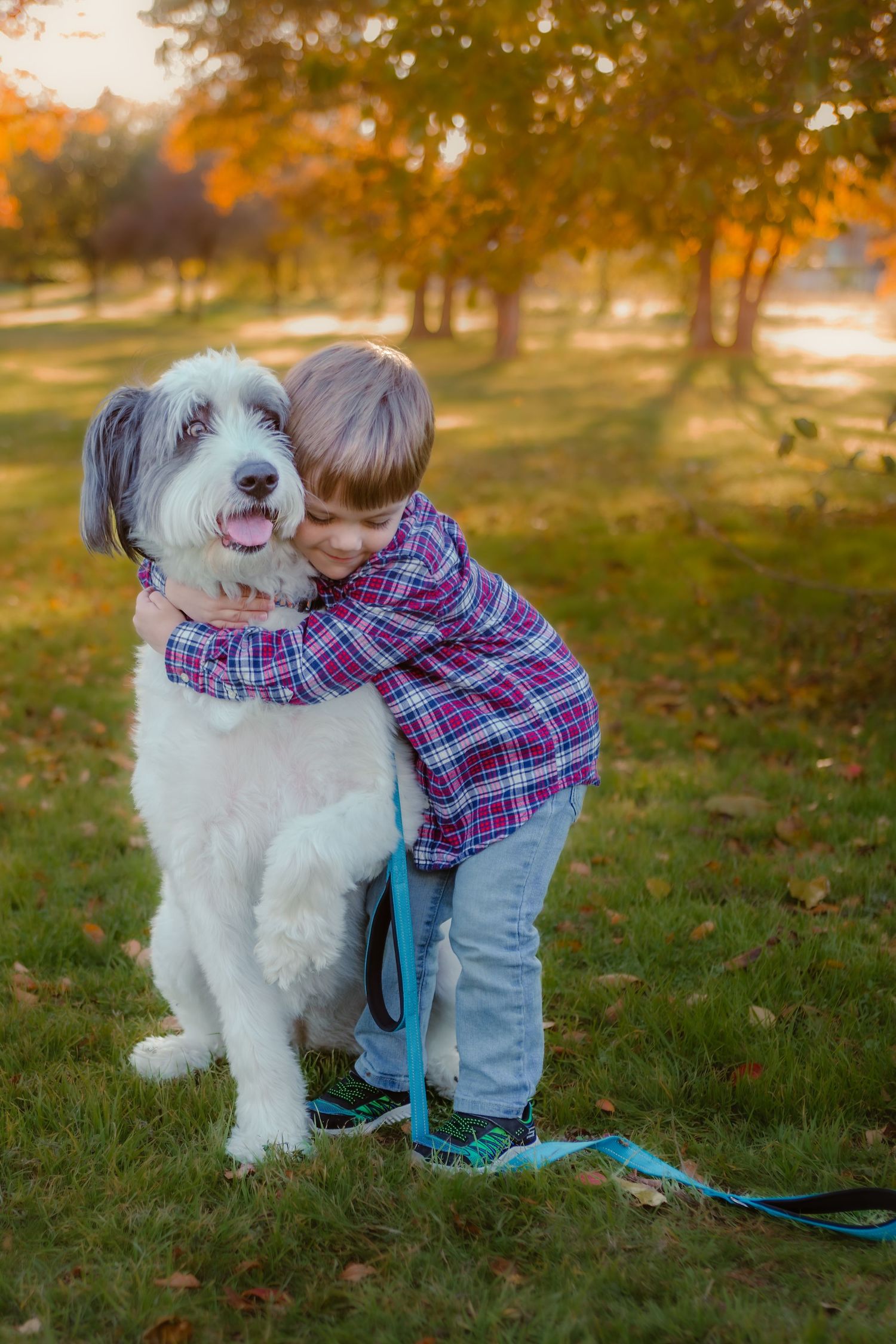 Colleyville family Photographer