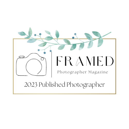 Minimalist gold rectangular frame design with delicate turquoise eucalyptus leaves decorating the top border.