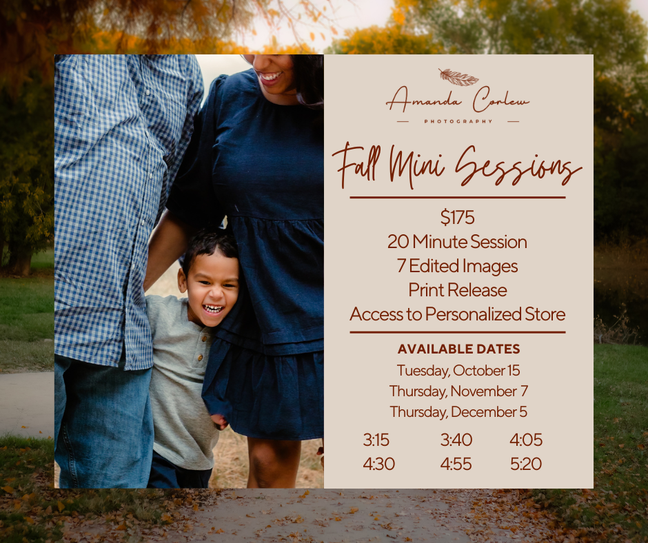 Fall Mini Sessions