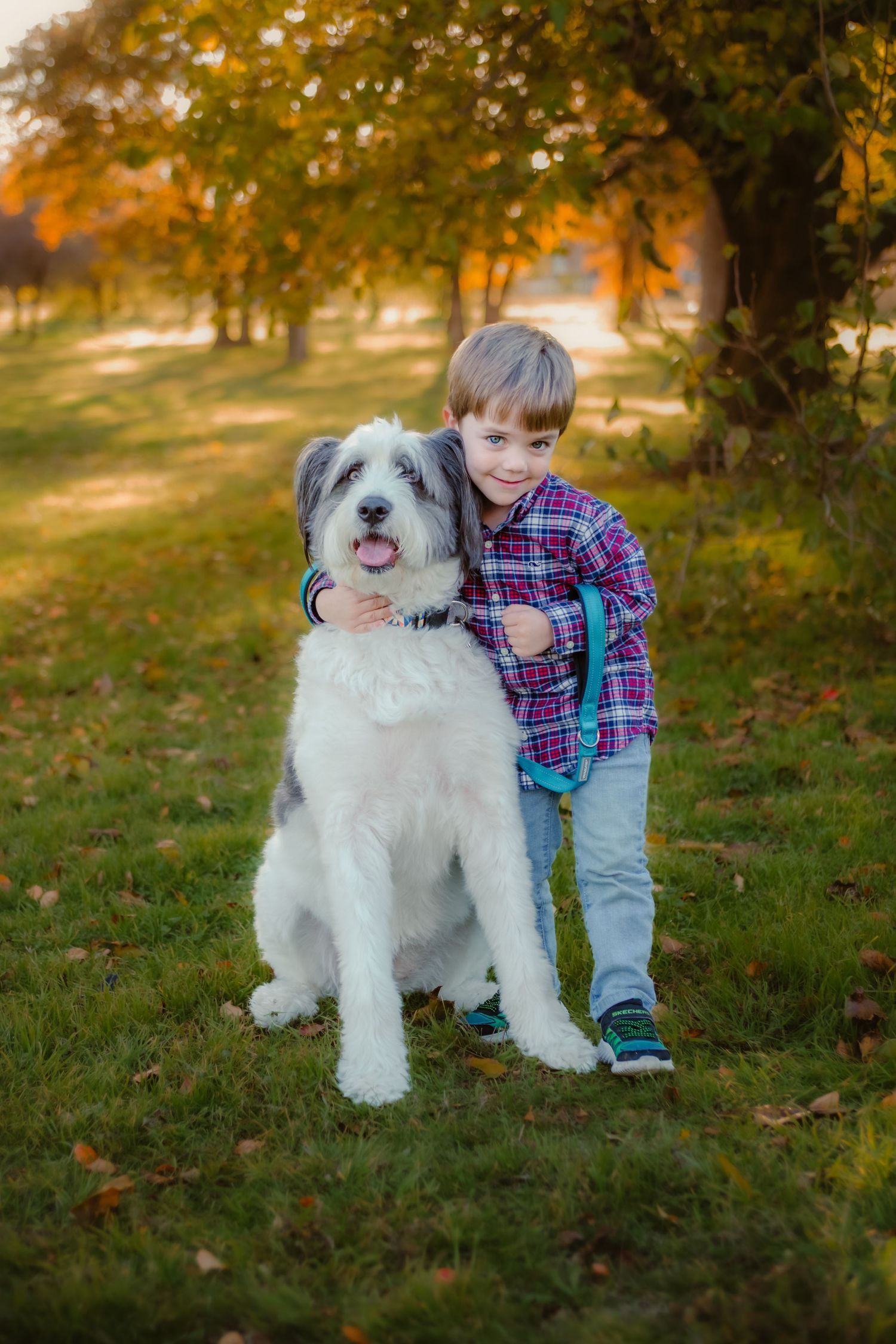 Pet family portrait photographer in Colleyville TX