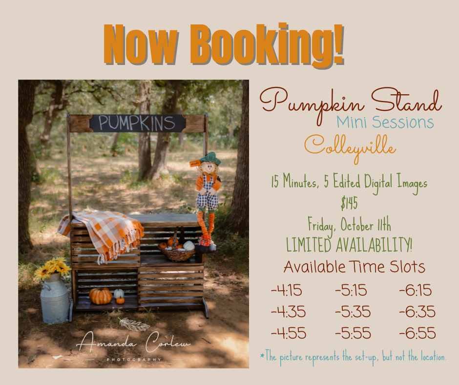 Pumpkin Stand mini sessions