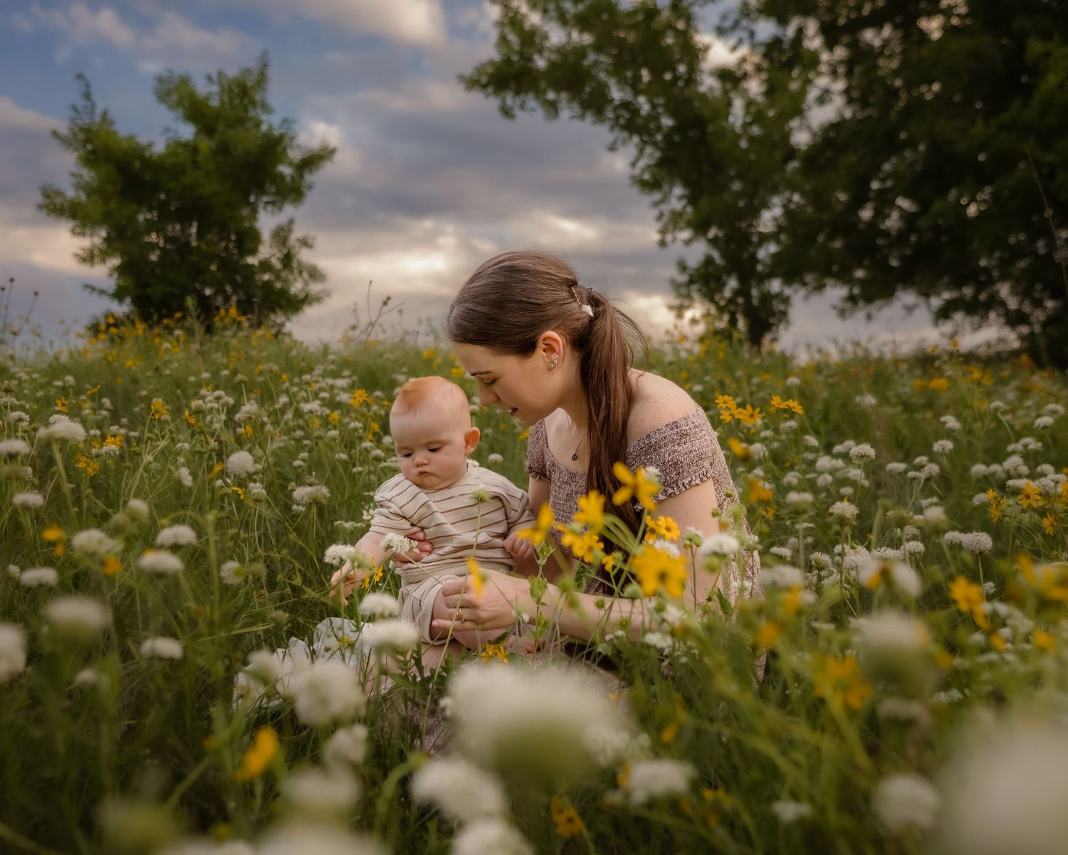 Wildflower mini session near Keller, TX