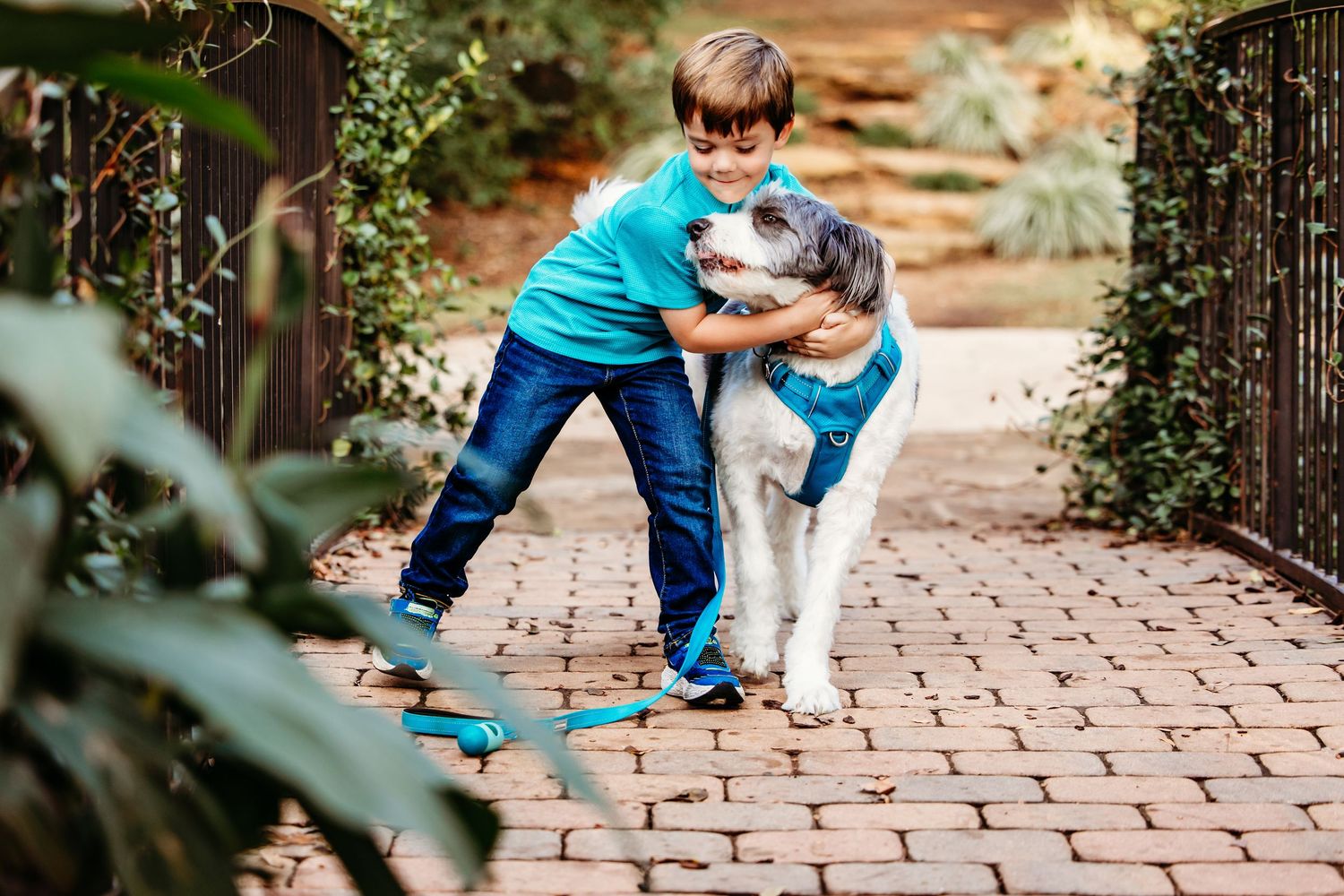 A child in blue jeans and turquoise shirt hugging his dog on a garden path surrounded by lush greenery in Grapevine, TX