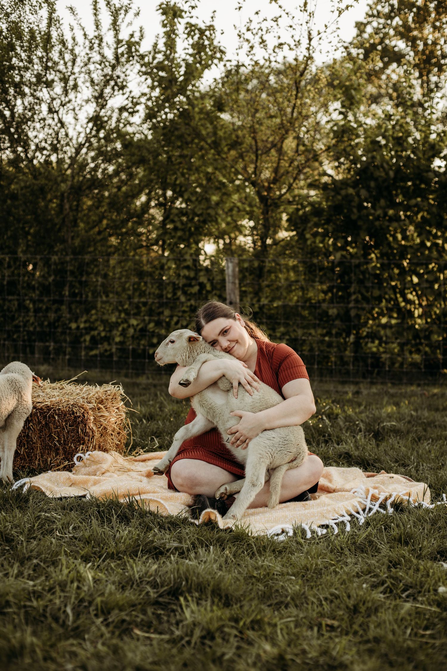 #lammetjes #schapen #mini's #lente #lommel #fotograaf #fotografie #pelt #belgie