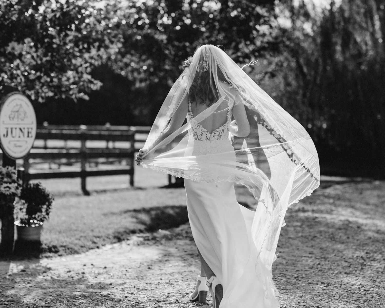 A black and white photo of a bride with a long flowy veil blowing in the wind as she walks away from camera on a farm in New York.