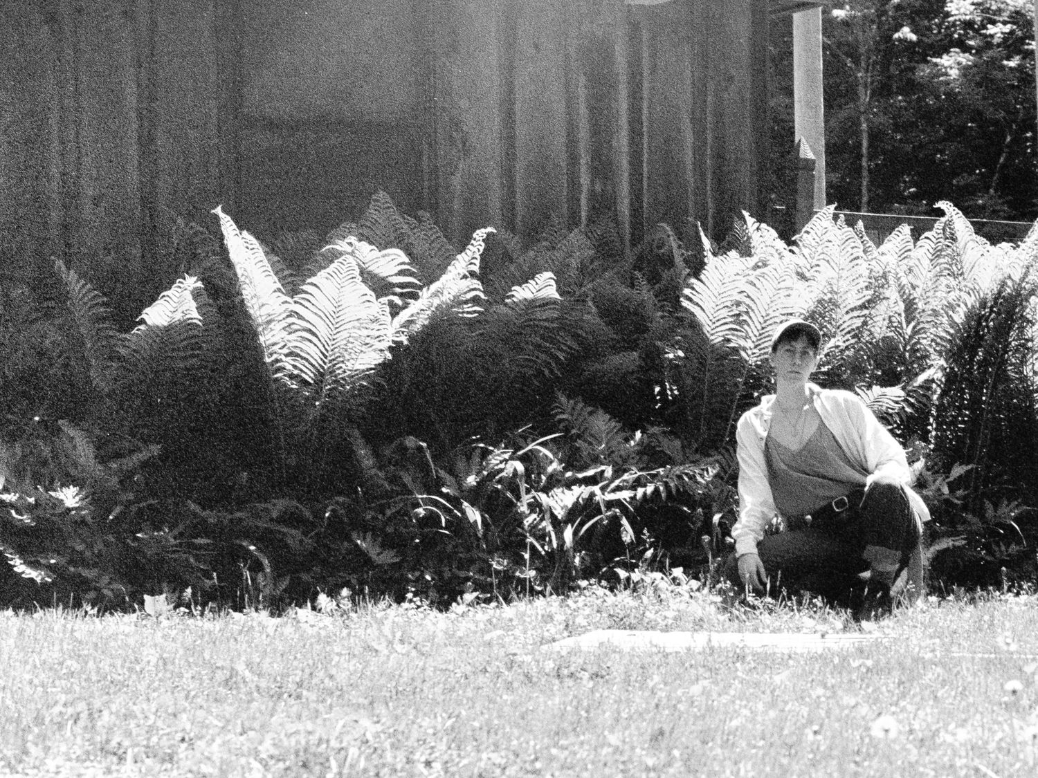 A black and white portrait of a person squatting in front of a big row of ferns. They are wearing a baseball hat, blouse and jeans.