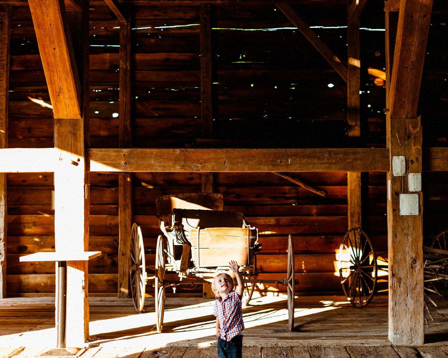 A blond toddler standing in a warm-toned New York barn reaching up into a sun beam.
