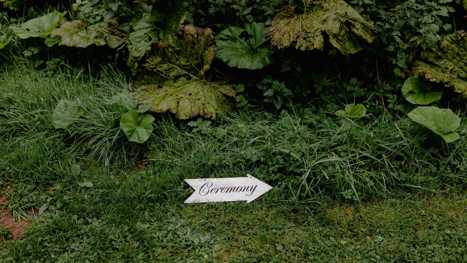 Lush greenery and plant life on the edge of the forest in Vermont. A white sign in the shape of an arrow points right and reads 