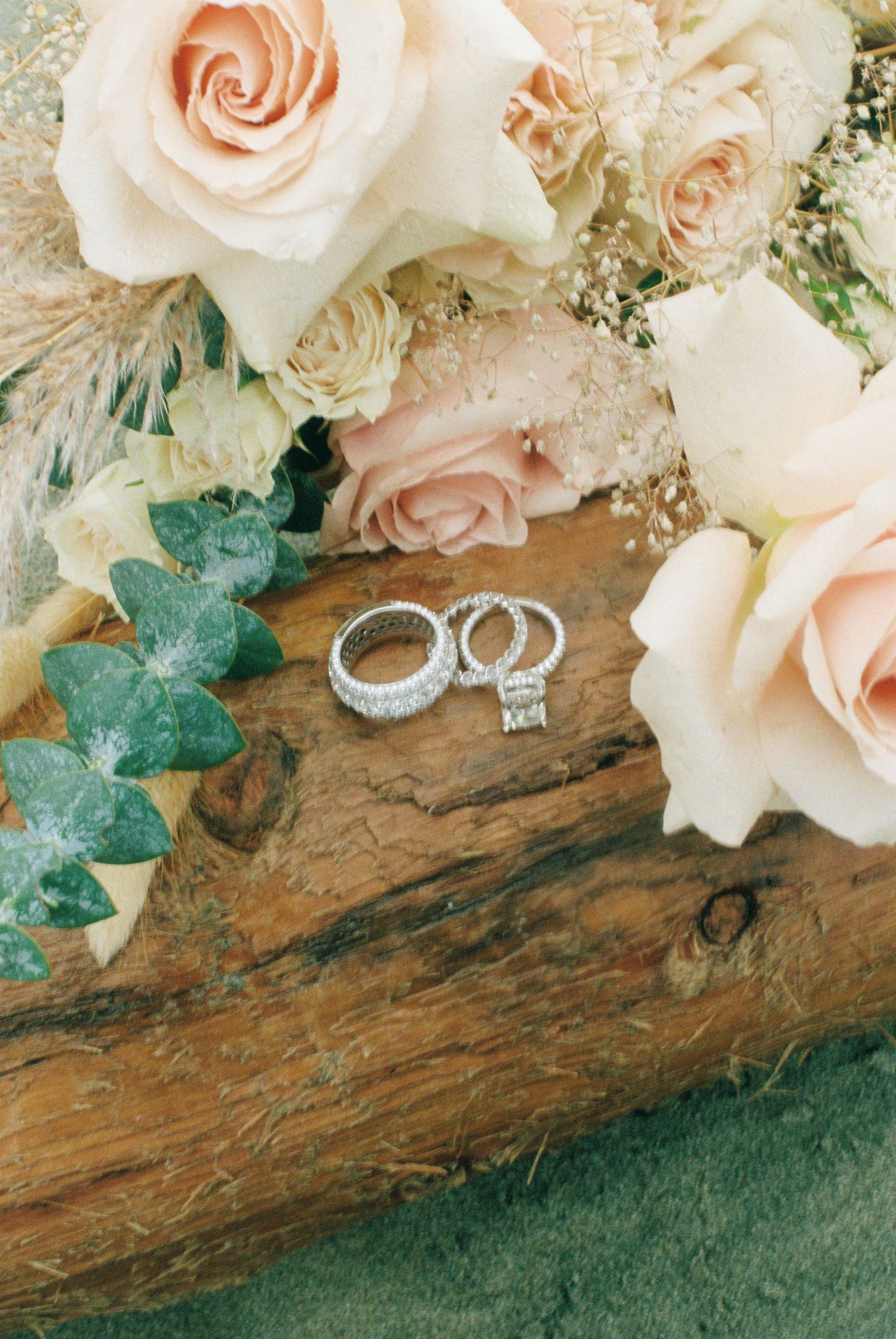 Wedding rings with princess cut diamond displayed on wood log with blush roses.