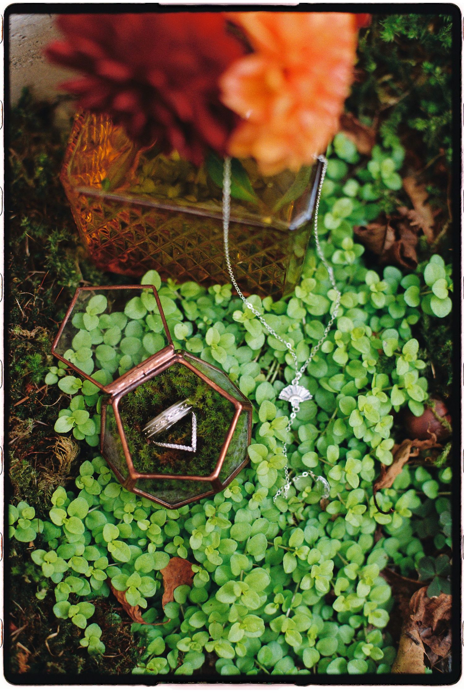 Wedding rings in geometric copper terrarium box displayed on green foliage with orange flowers and delicate necklace.