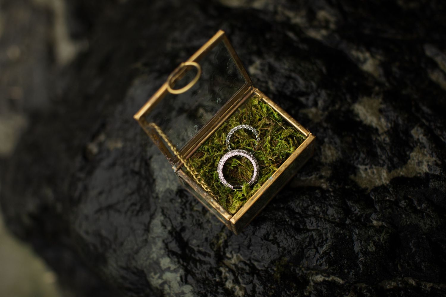 Two wedding bands rest in a gold glass ring box lined with green moss on dark rocks.