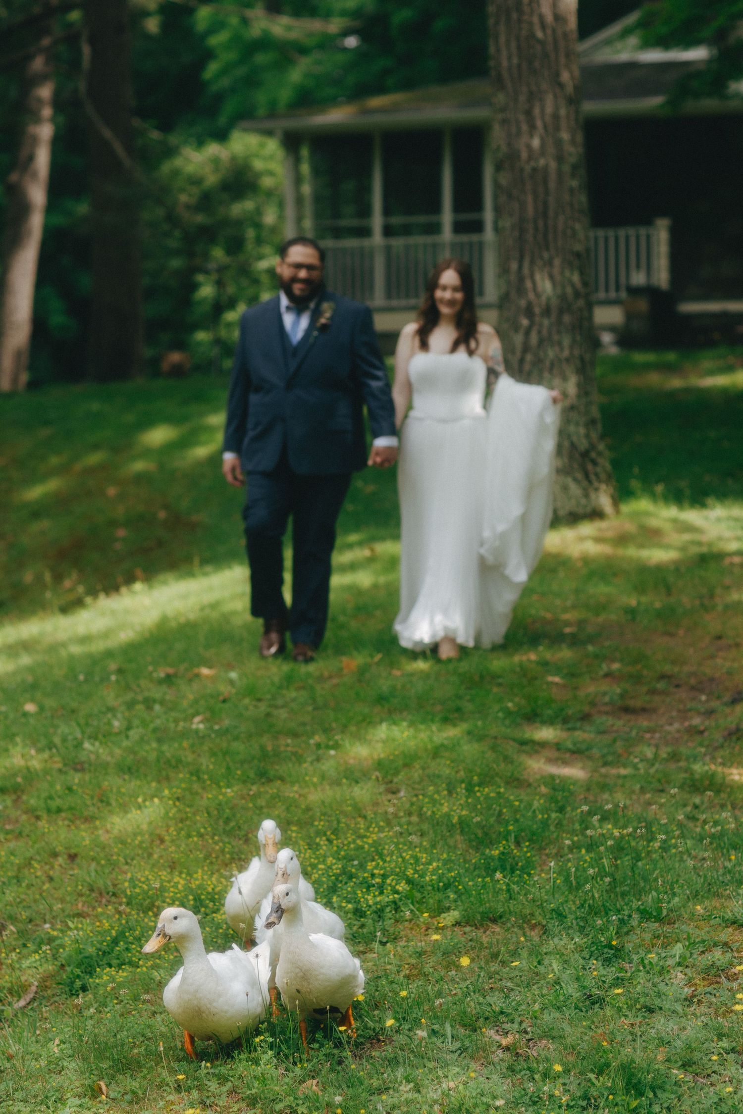 Bride and groom walking hand in hand on green lawn with white ducks in foreground at outdoor wedding venue.