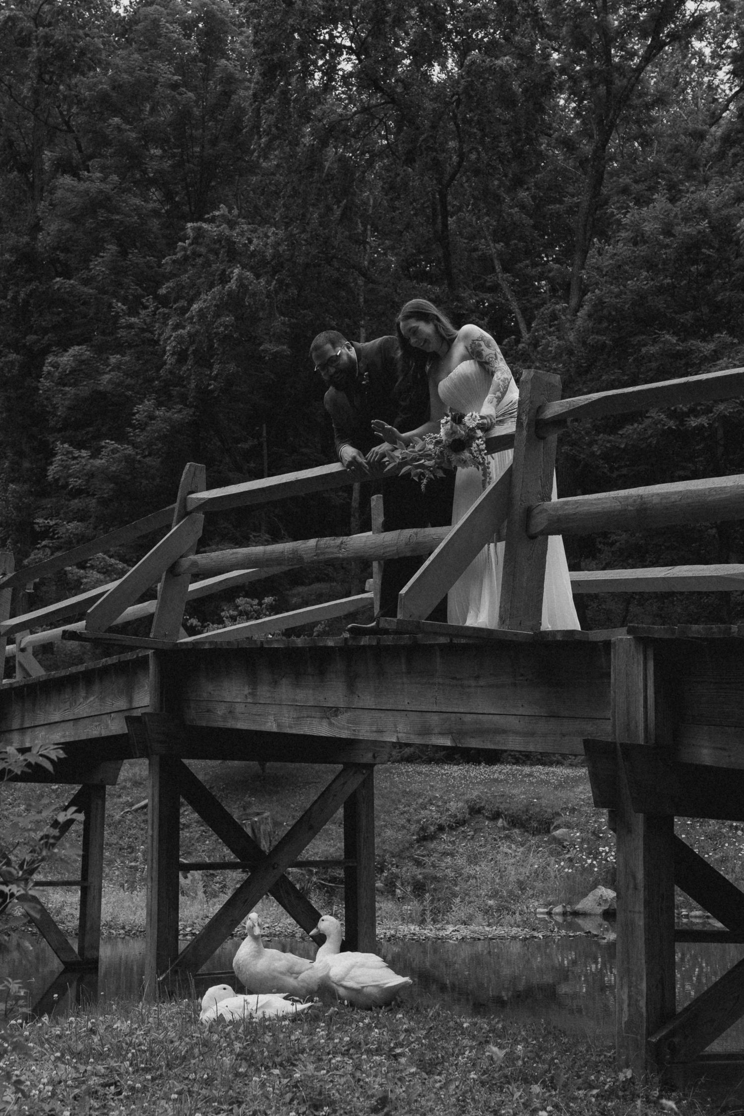 Black and white photo of a couple in wedding attire on a wooden bridge, with white ducks resting below near a pond.