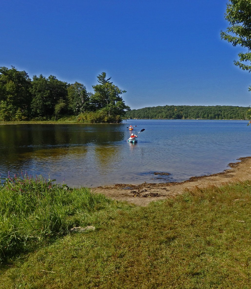 Person kayaking on a calm lake surrounded by lush green trees under a clear blue sky on a sunny day.
