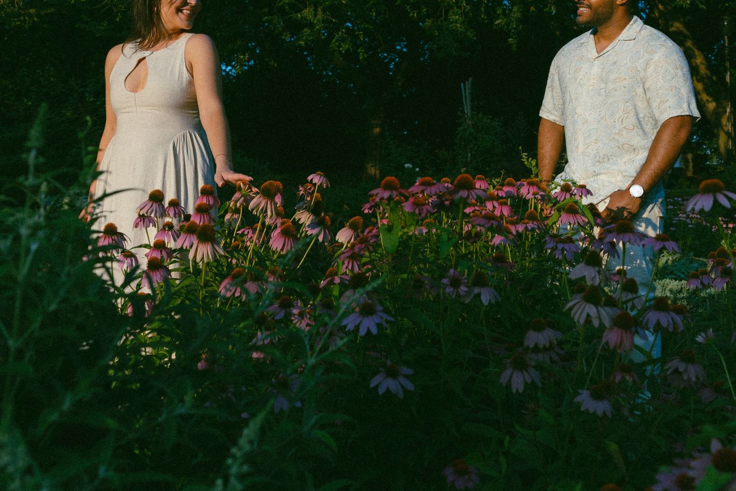 Couple standing among pink coneflowers in a lush garden, woman in gray dress and man in white shirt.