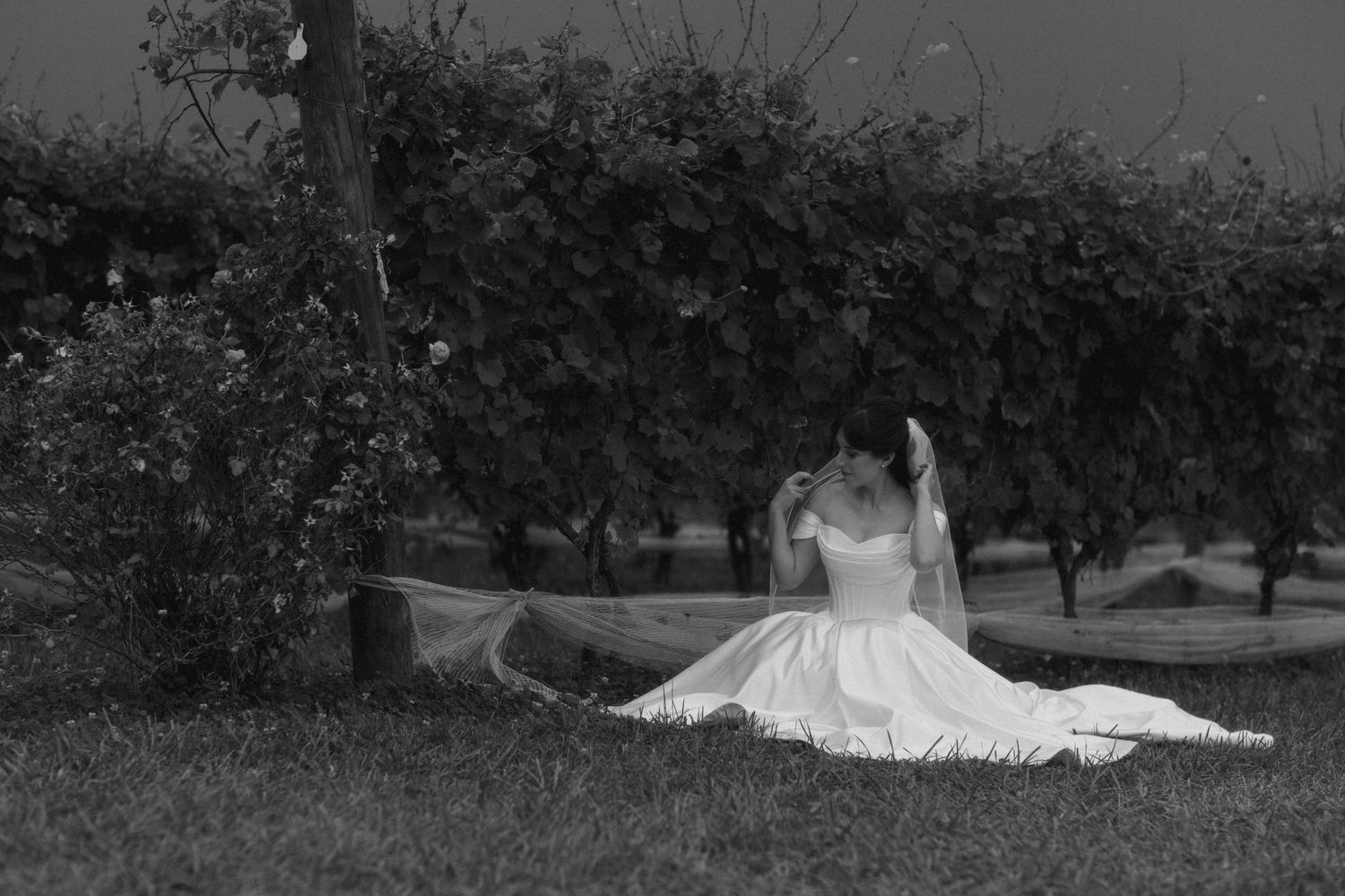Black and white photo of a bride in a white gown and veil sitting gracefully on grass near a tree in a vineyard.