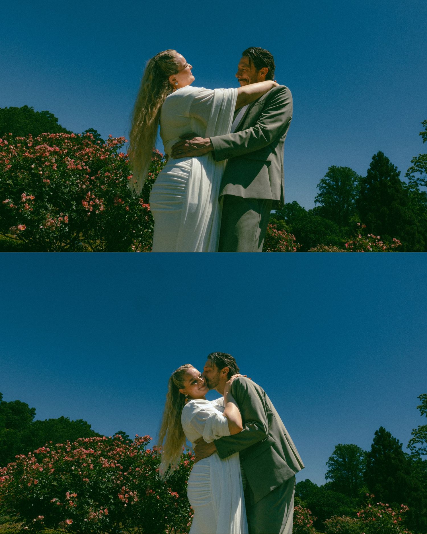 A couple embraces and kisses in a sunny garden with blooming pink roses and lush green trees under a clear blue sky.