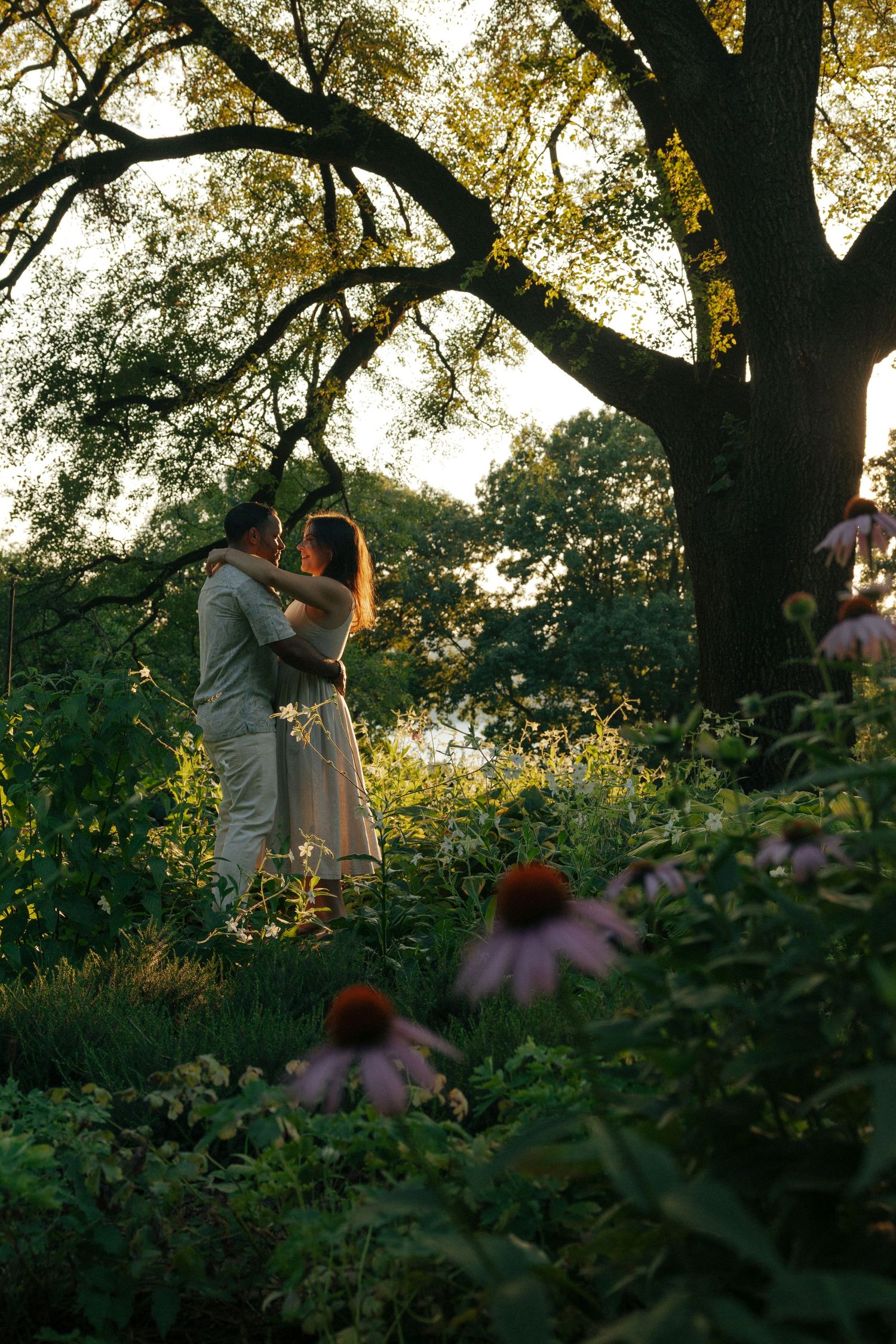 Couple embracing romantically under a large tree in a lush garden at golden hour with purple coneflowers in foreground.