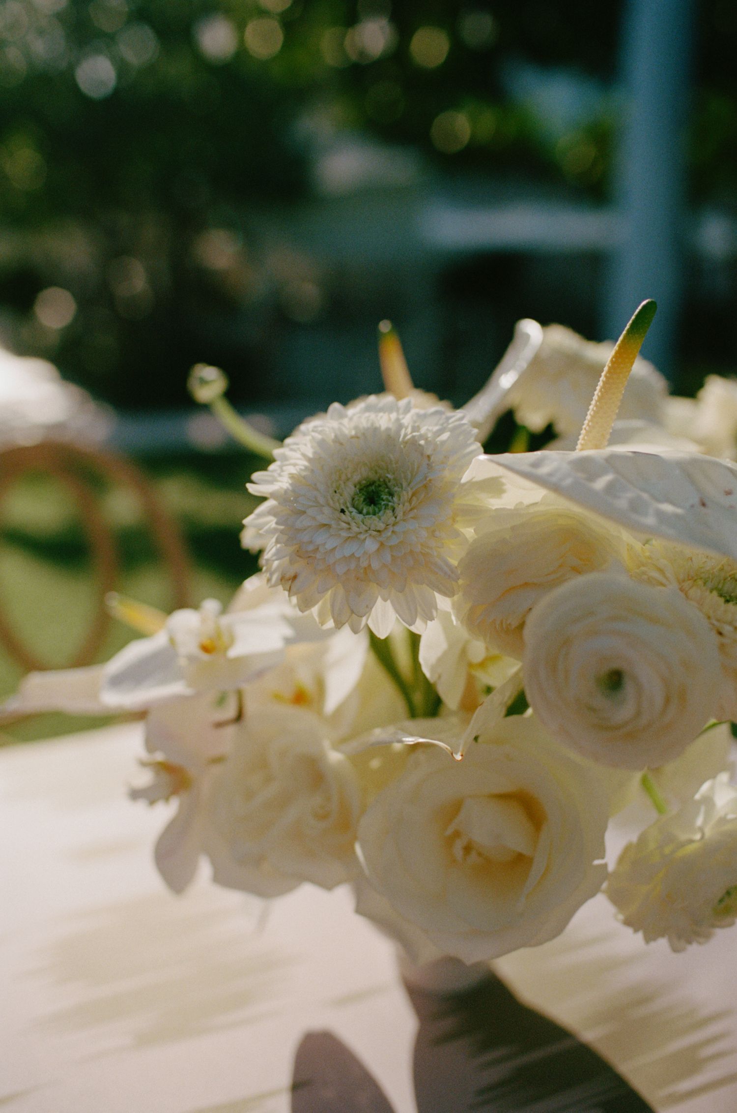 Close-up of white roses and gerbera daisy flower arrangement against blurred background.