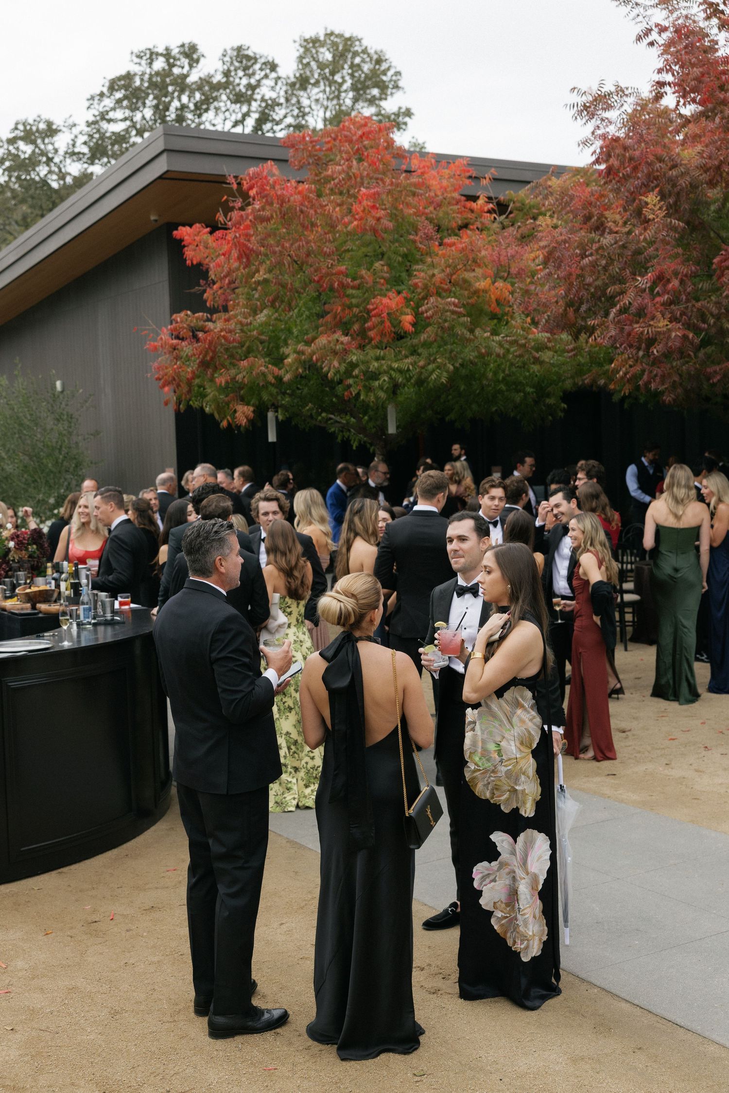 Wedding guests mingle during cocktail hour beneath vibrant red autumn trees.