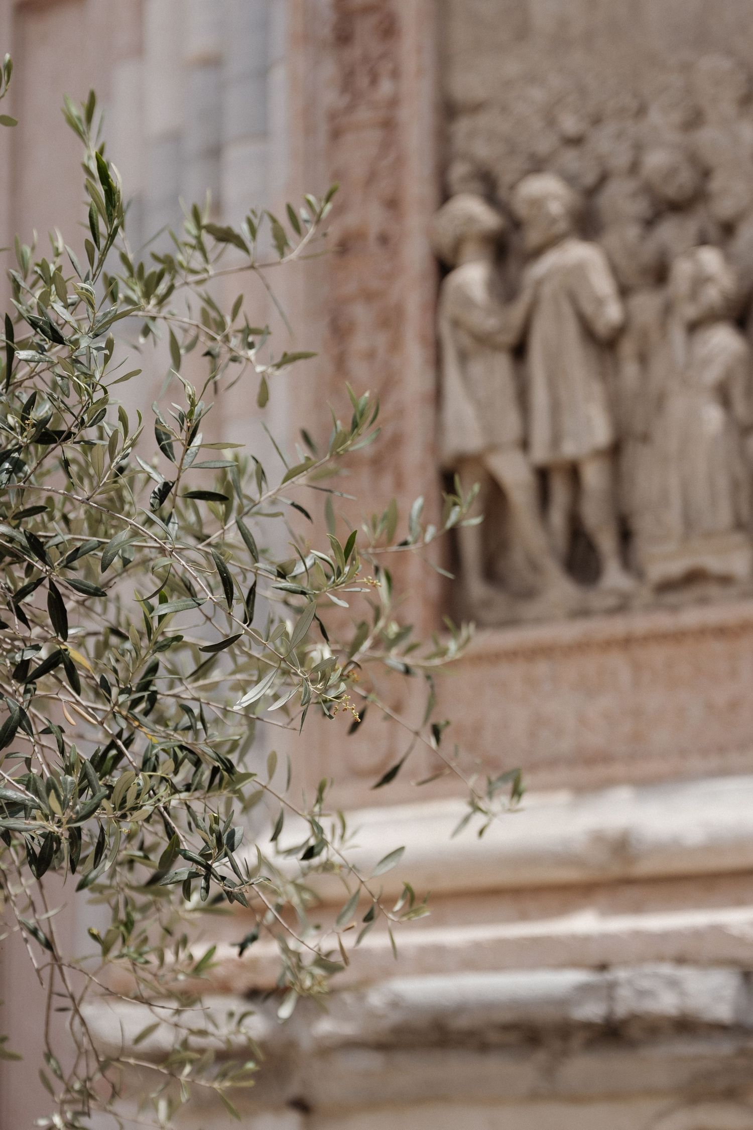 Olive tree branches in focus with ancient stone relief sculpture of figures on a historic building facade in background.