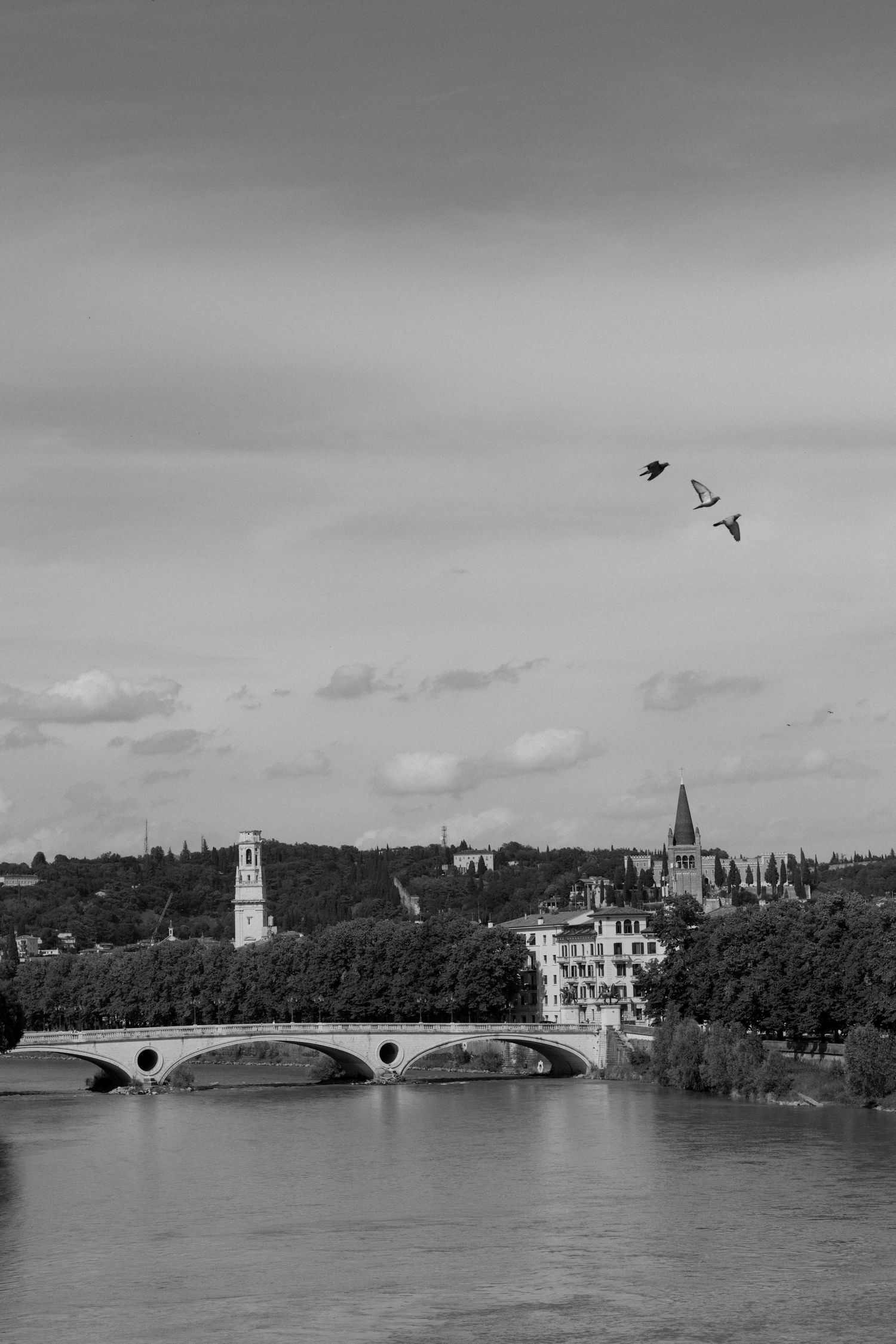 Black and white view of a stone bridge over a river with birds in flight and a church steeple among trees.