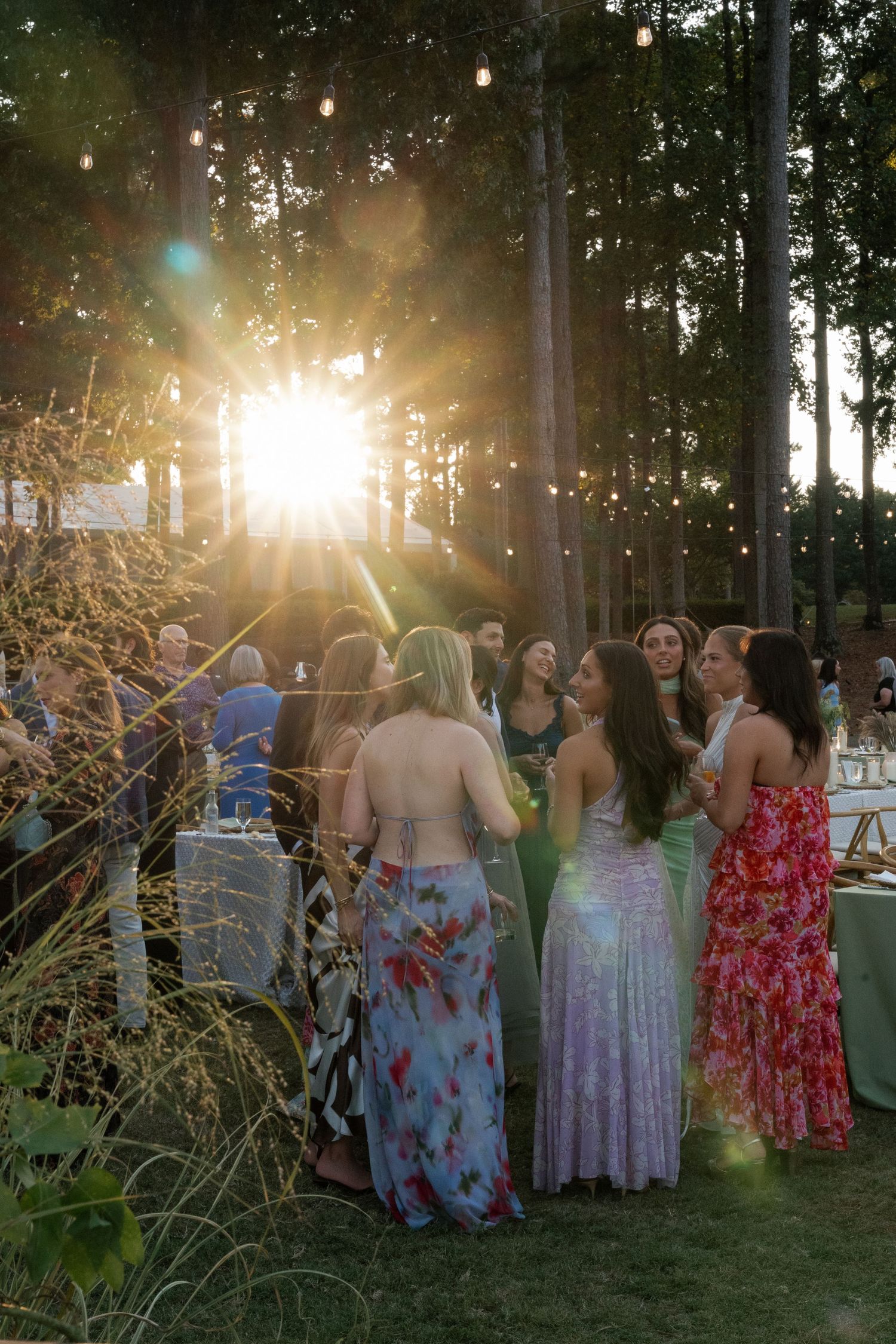 Wedding guests gather at sunset under string lights and tall trees.
