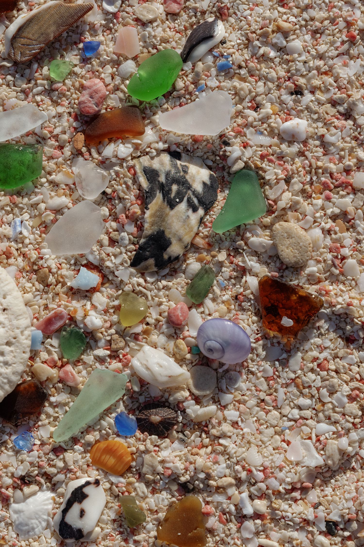The image shows a close-up view of a sandy beach surface with various colorful pebbles, shells, and other small objects scattered across it.
